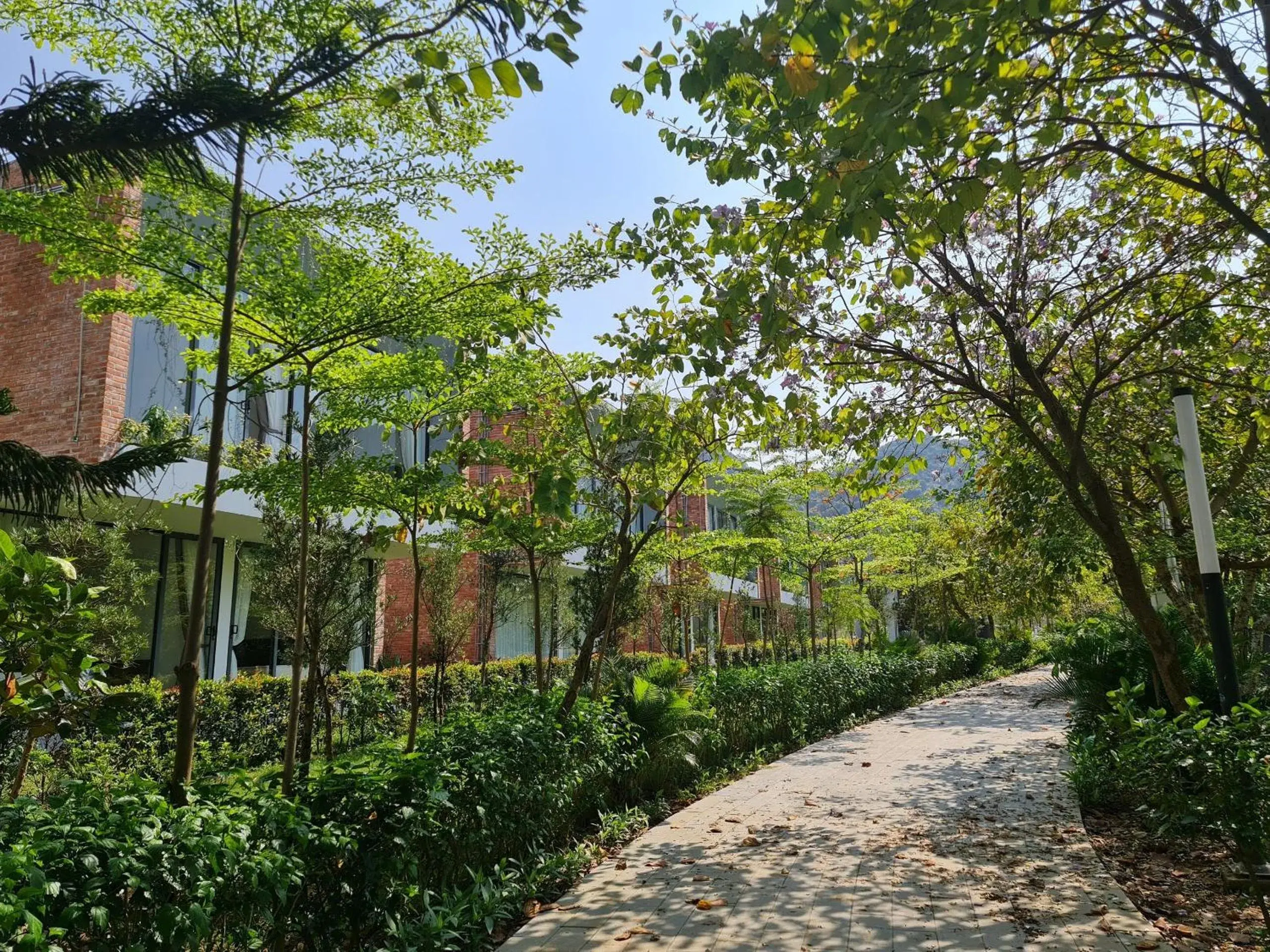 Garden view, Property Building in Wyndham Grand Vedana Ninh Binh Resort