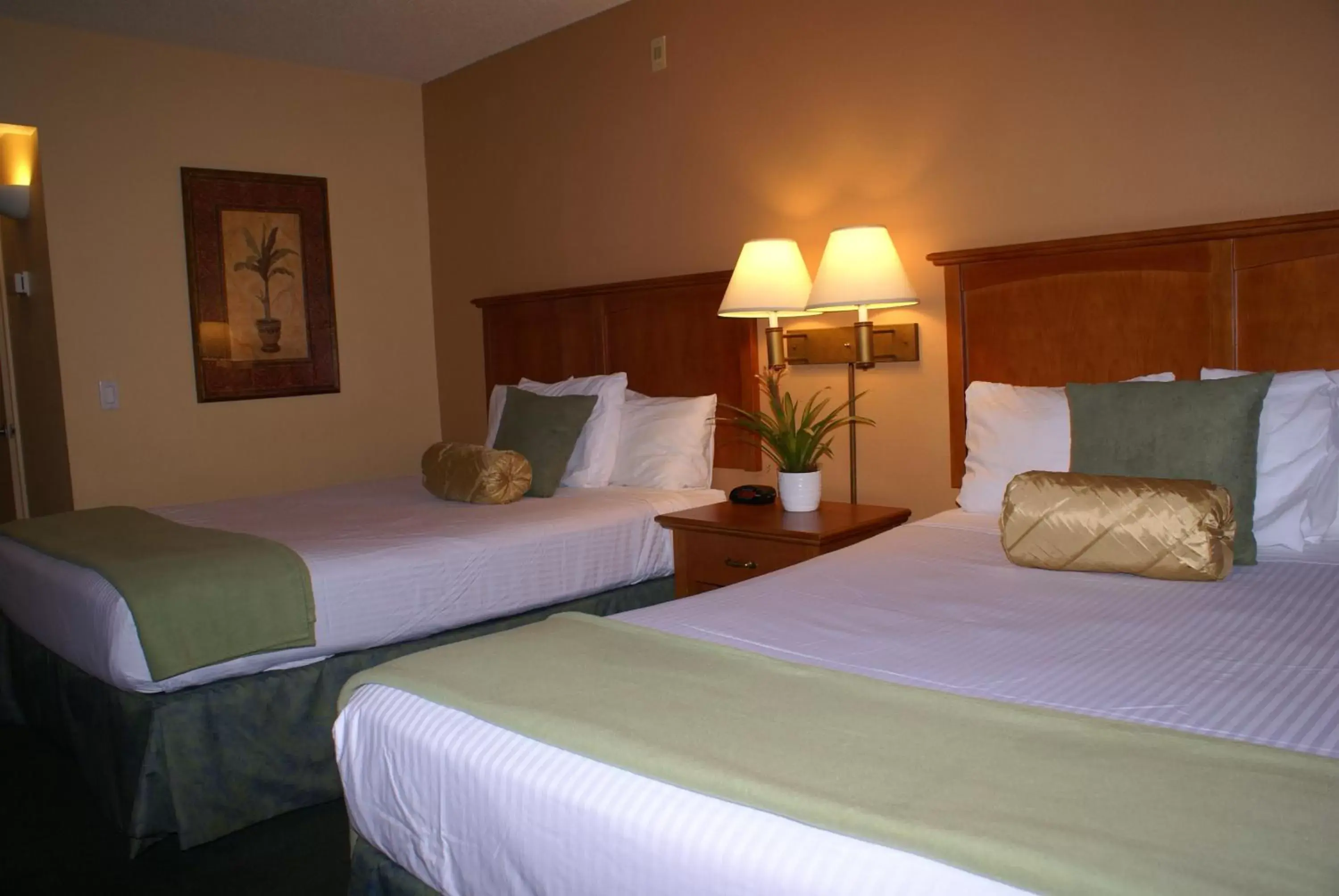 Photo of the whole room, Bed in Miracle Springs Resort and Spa