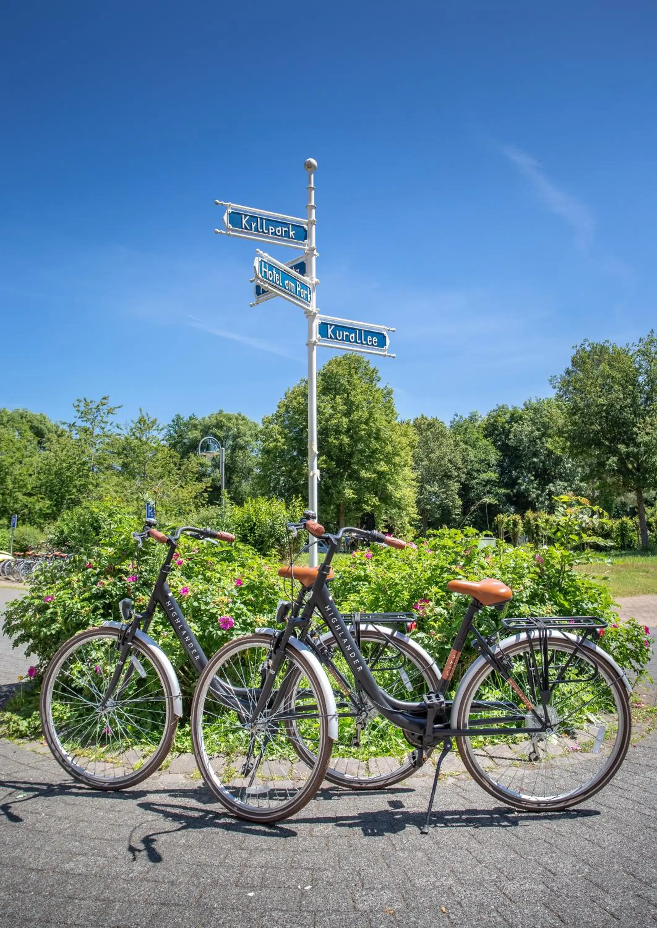 Cycling, Other Activities in Hotel am Park