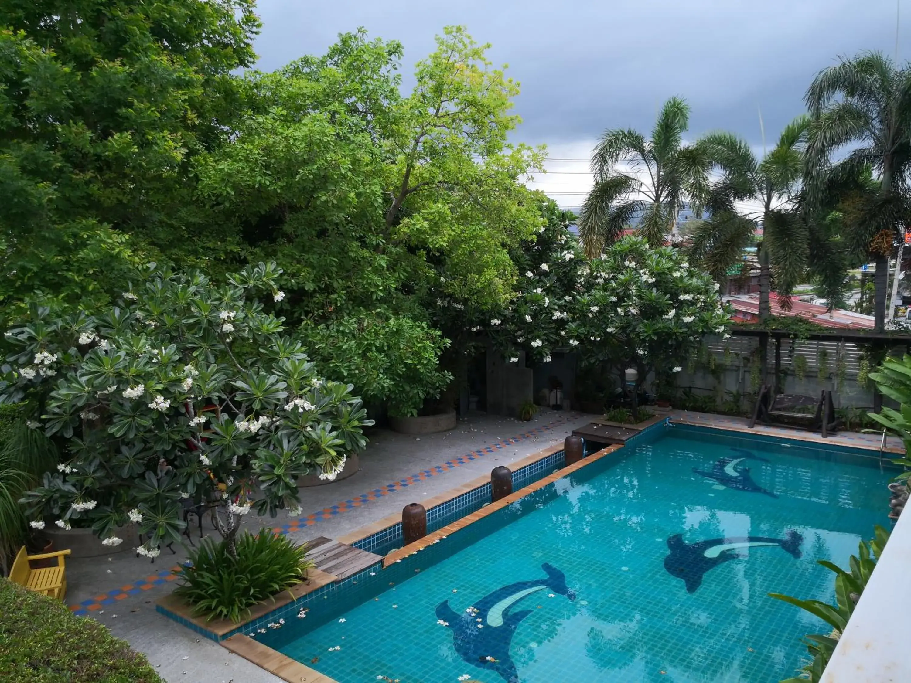 Swimming Pool in Baan Suksiri Hotel (SHA Extra Plus)