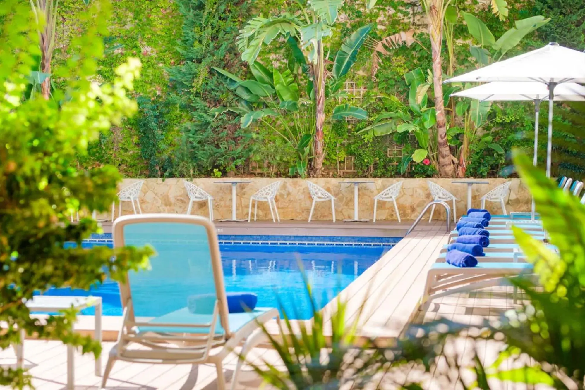 Garden, Swimming Pool in Hotel Agua Beach