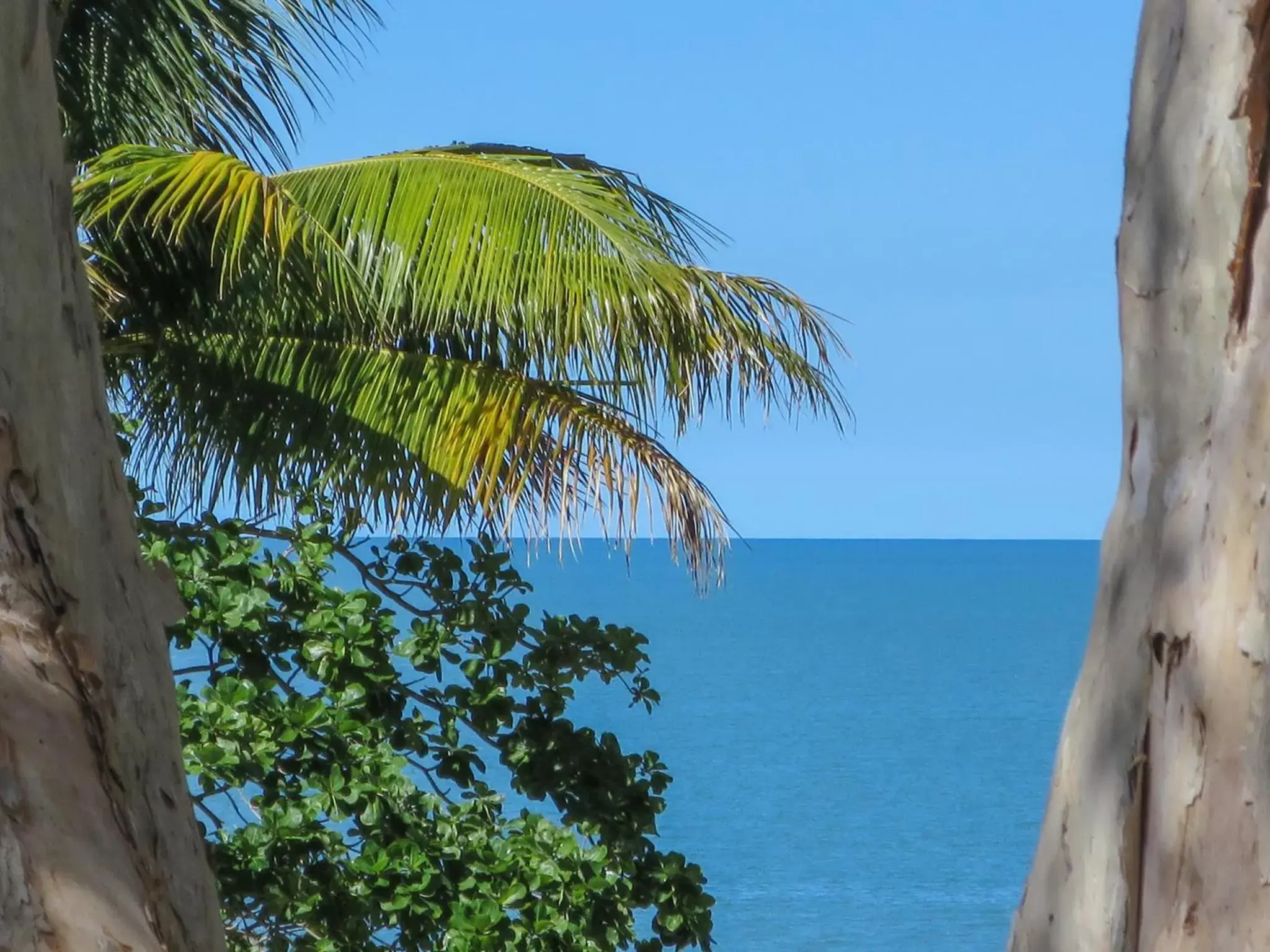 Beach, Sea View in Marlin Waters Beachfront Apartments