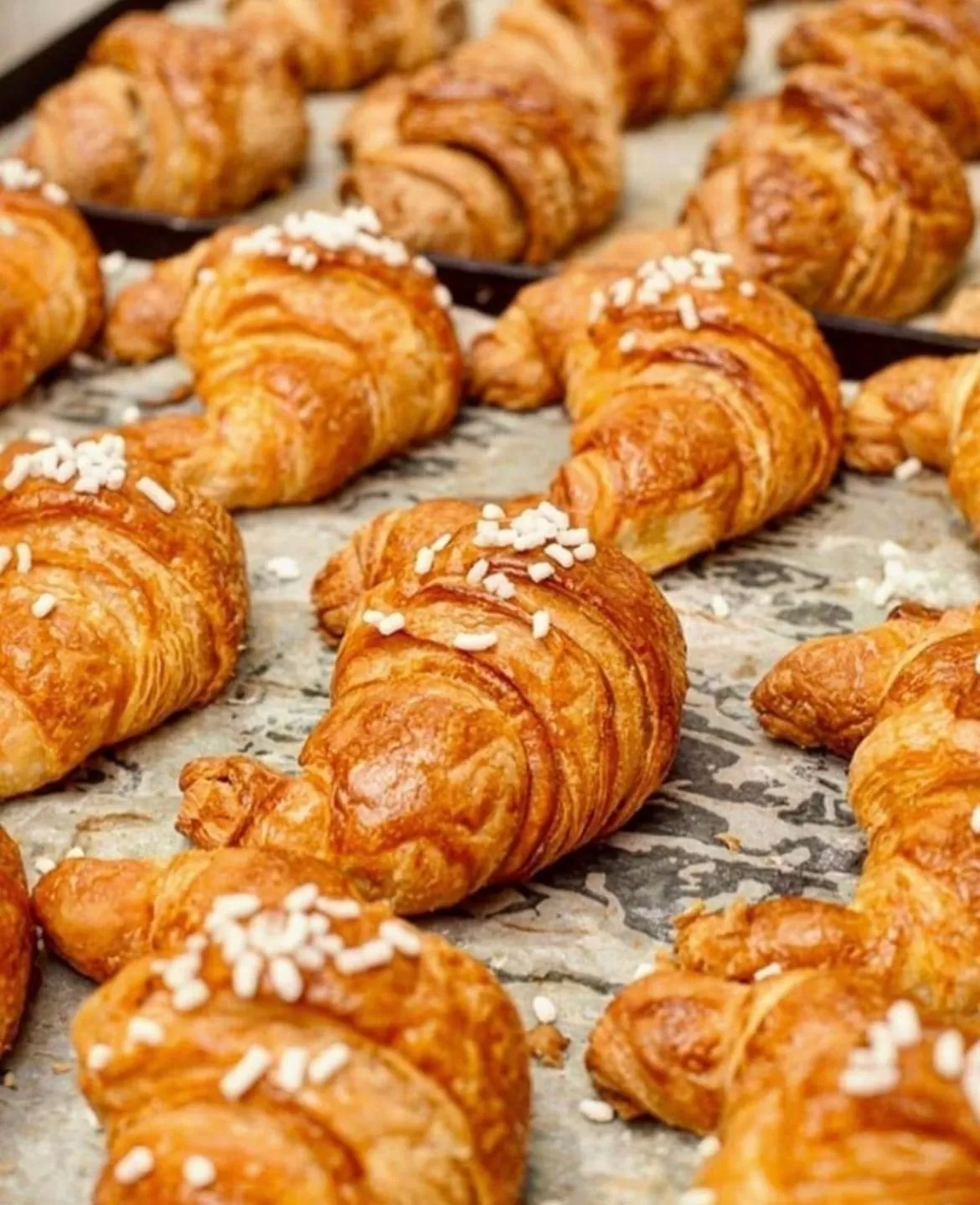 Breakfast in Resort la Magnolia