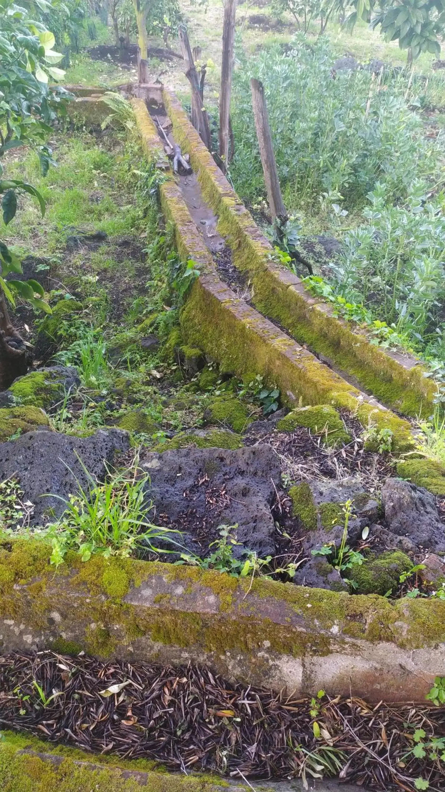 Natural Landscape in Il Giardino di Galatea