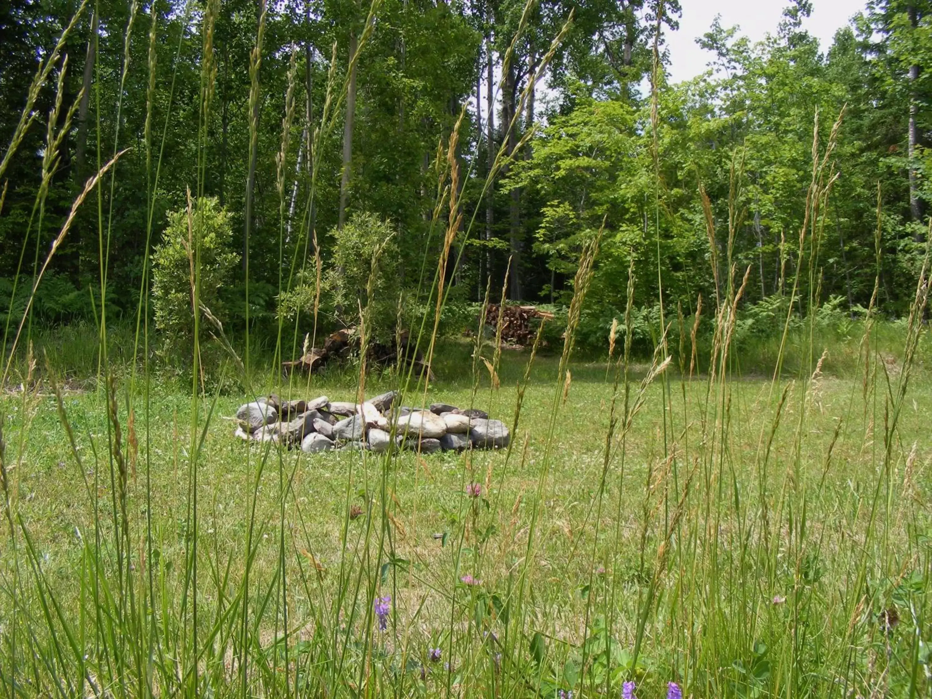 Natural landscape in Gite L'Antre d'Eux