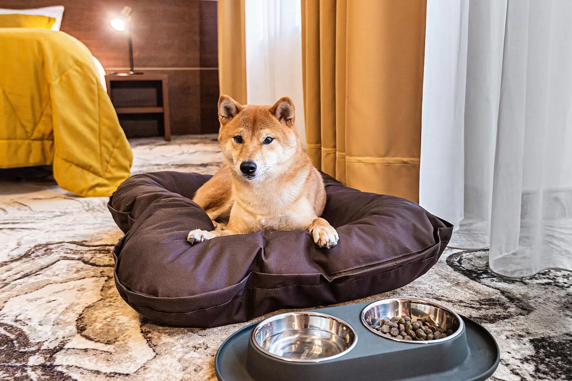 Animals in Palangos Vetra