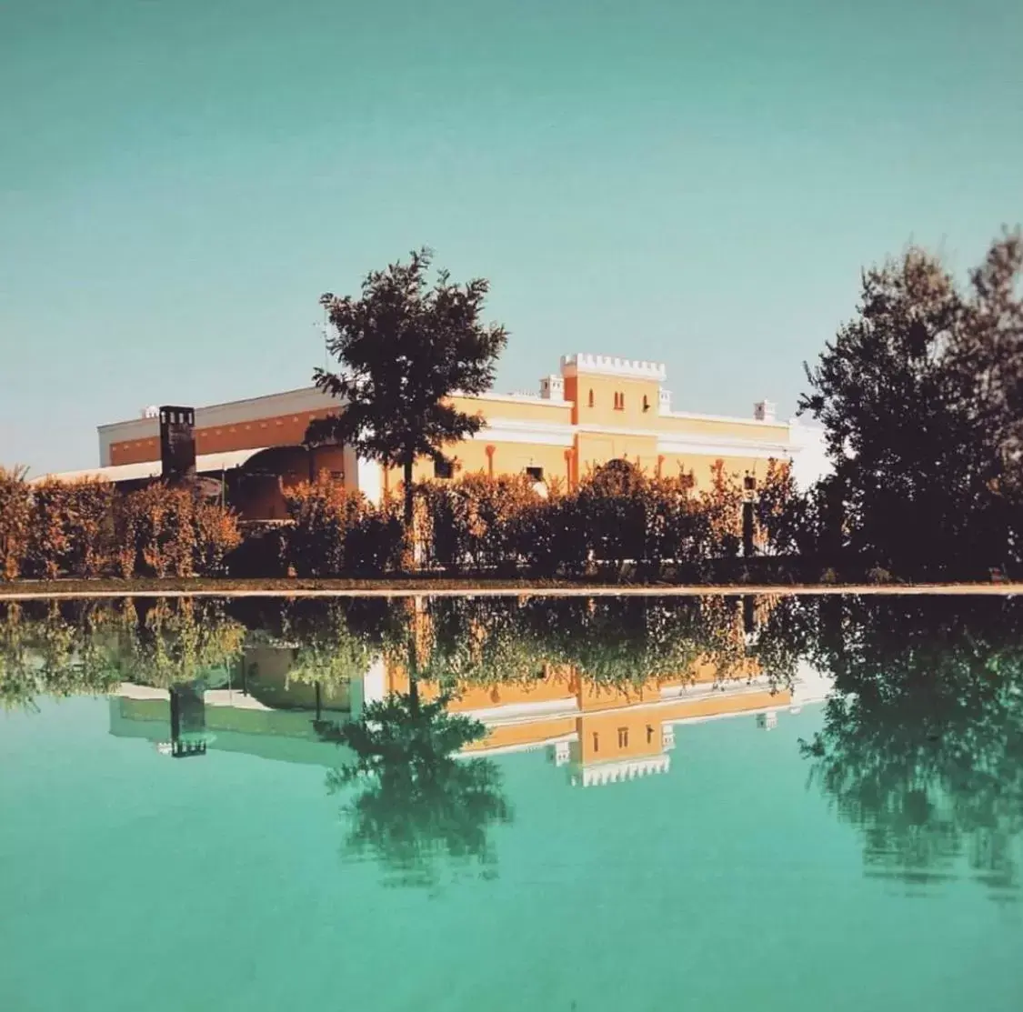 Swimming Pool in Tenuta Orsanese