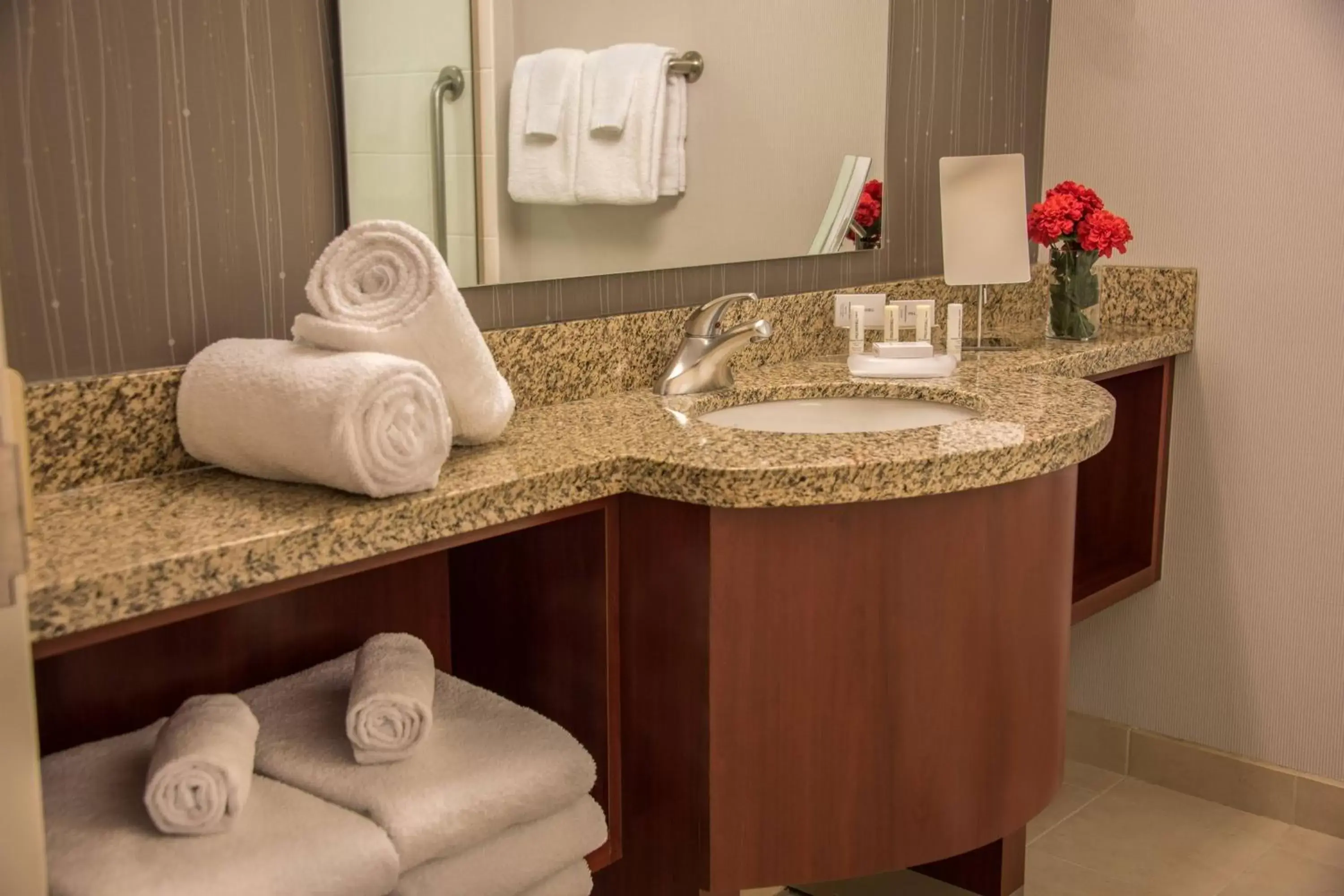 Bathroom in Courtyard by Marriott Bethesda Chevy Chase