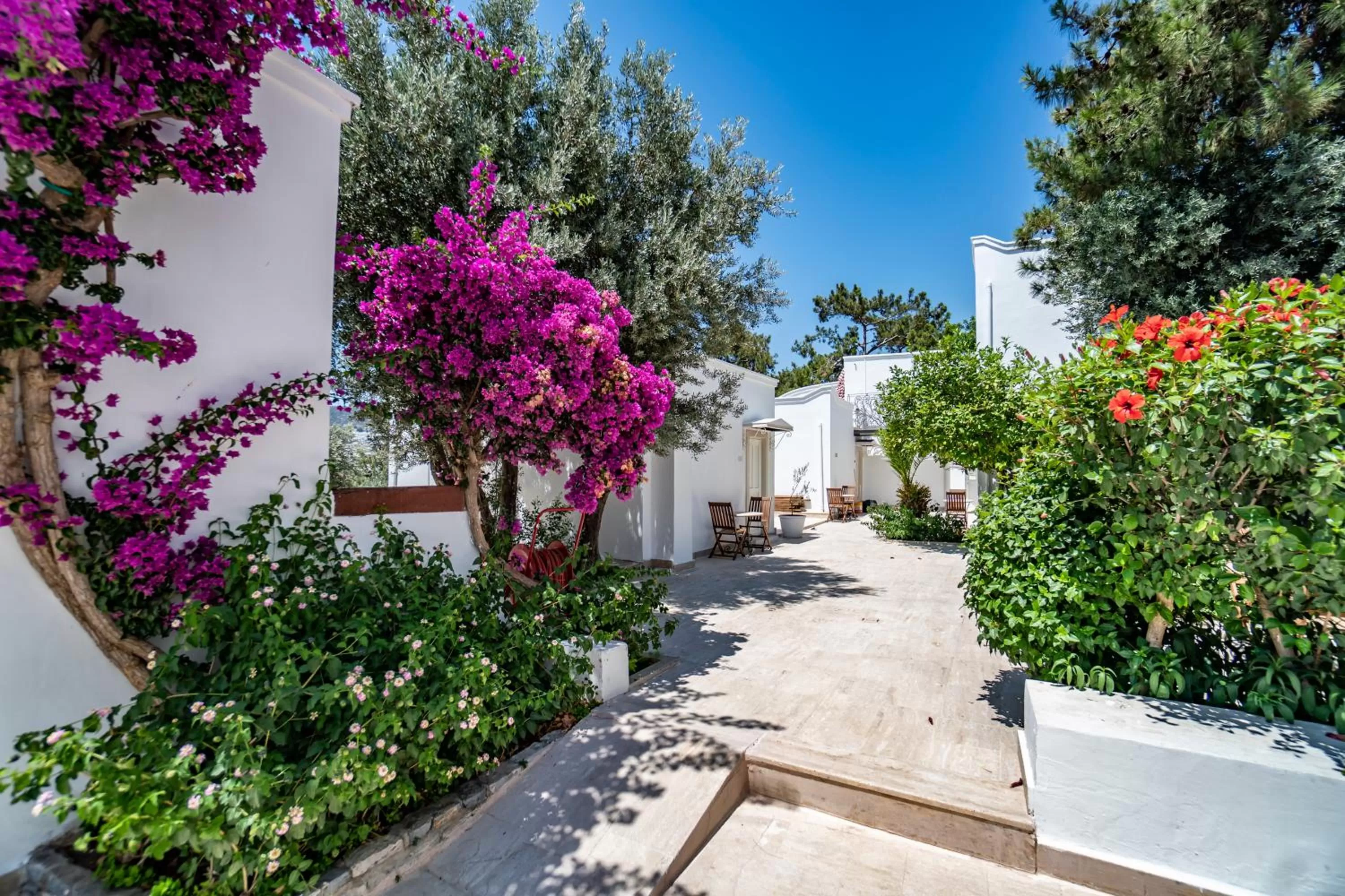 Property building in Manzara Boutique Hotel - Adults Only