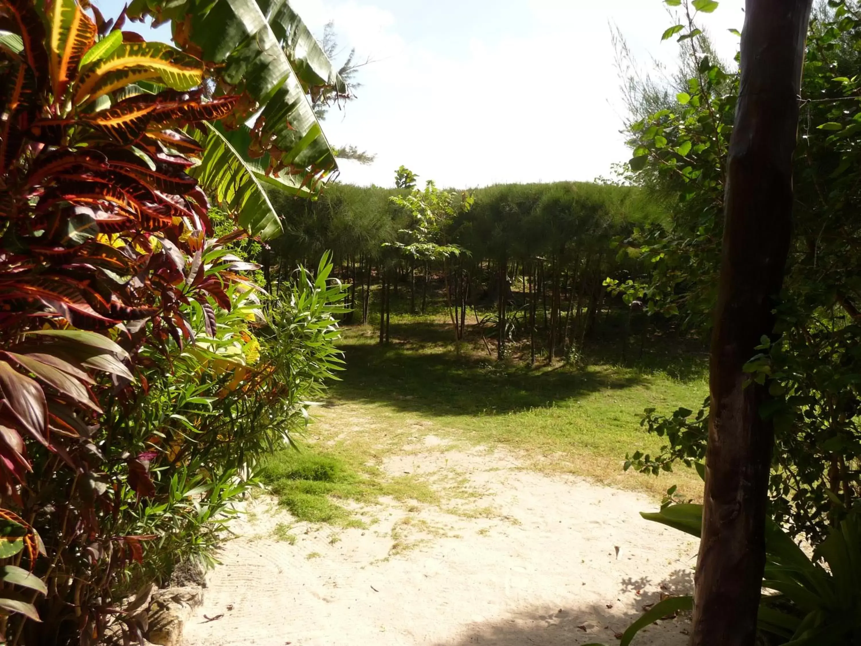 Garden in Rancho Sakol