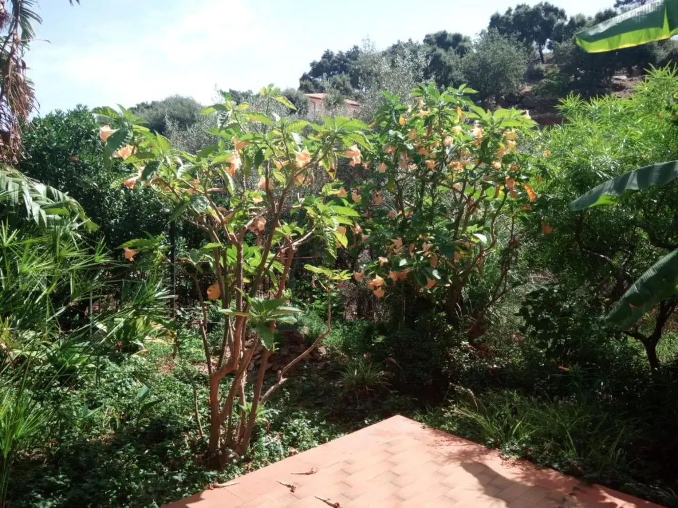 Stanza in Villa con giardino vista mare