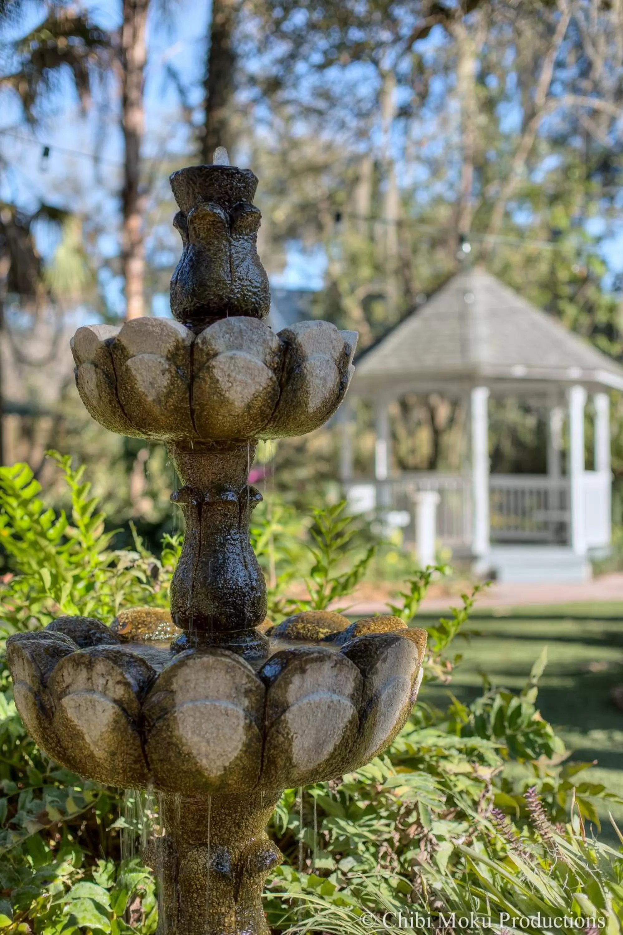 Garden in Sweetwater Branch Inn