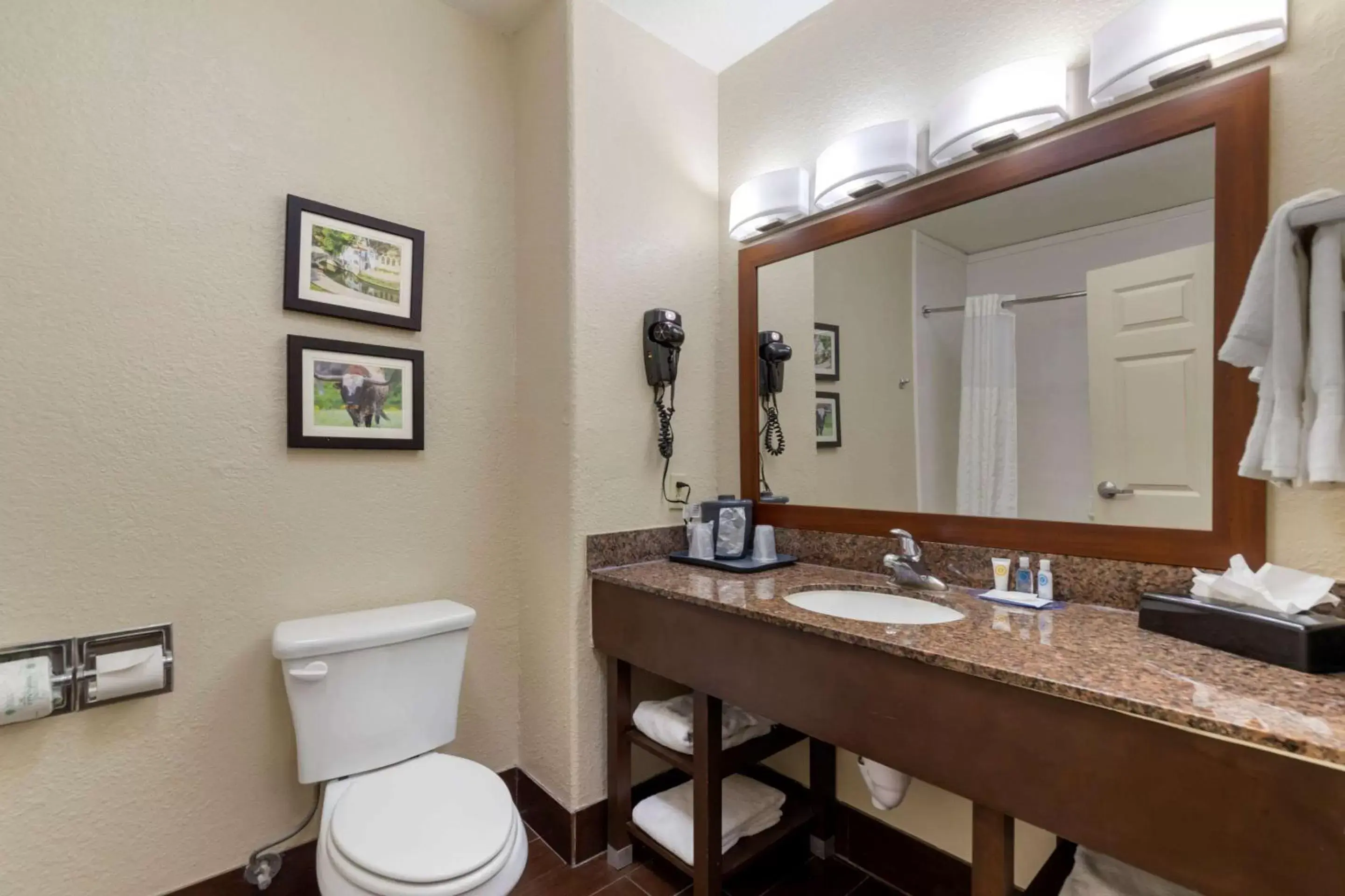 Bathroom in Comfort Inn & Suites Near Six Flags & Medical Center