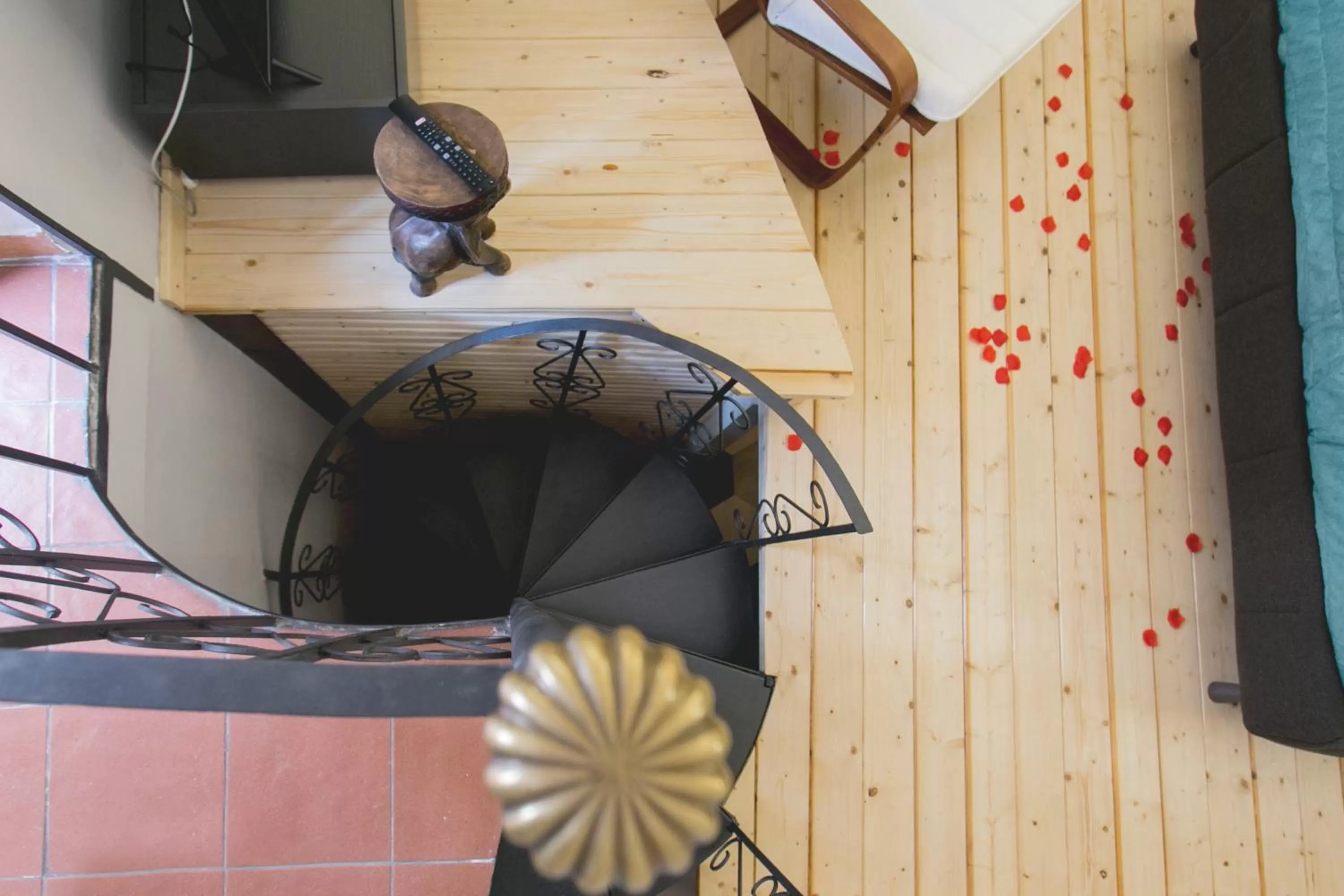 TV and multimedia in Anticaglia/24