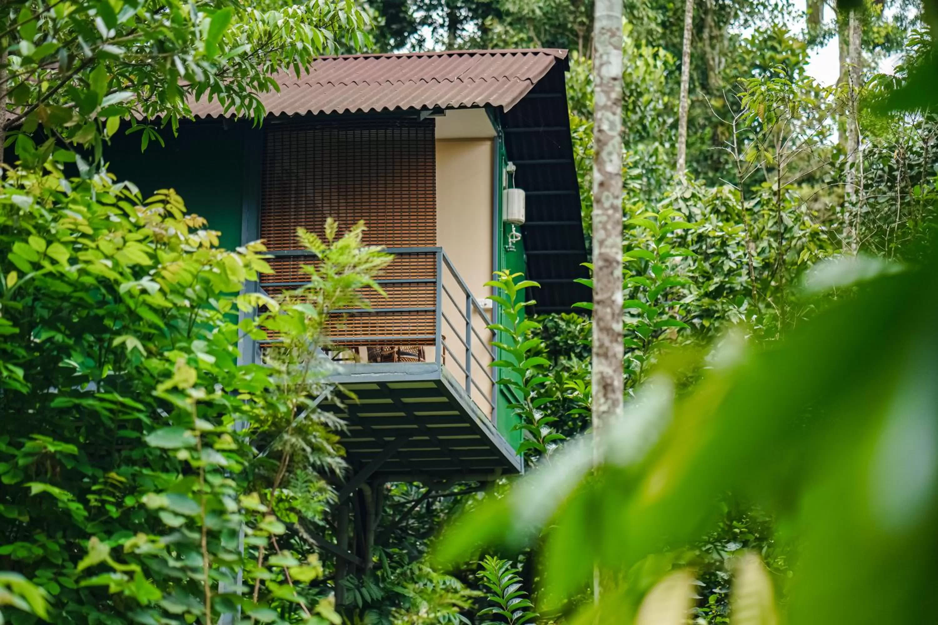 Property Building in Edens Munnar