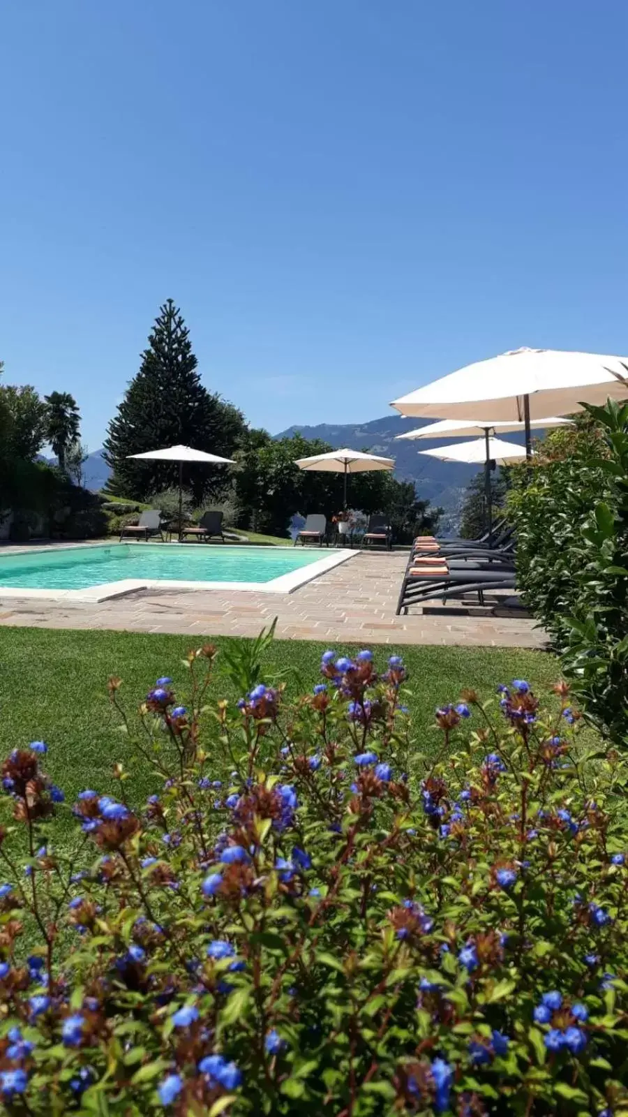 Summer, Swimming Pool in Il Poggio Di Bellagio