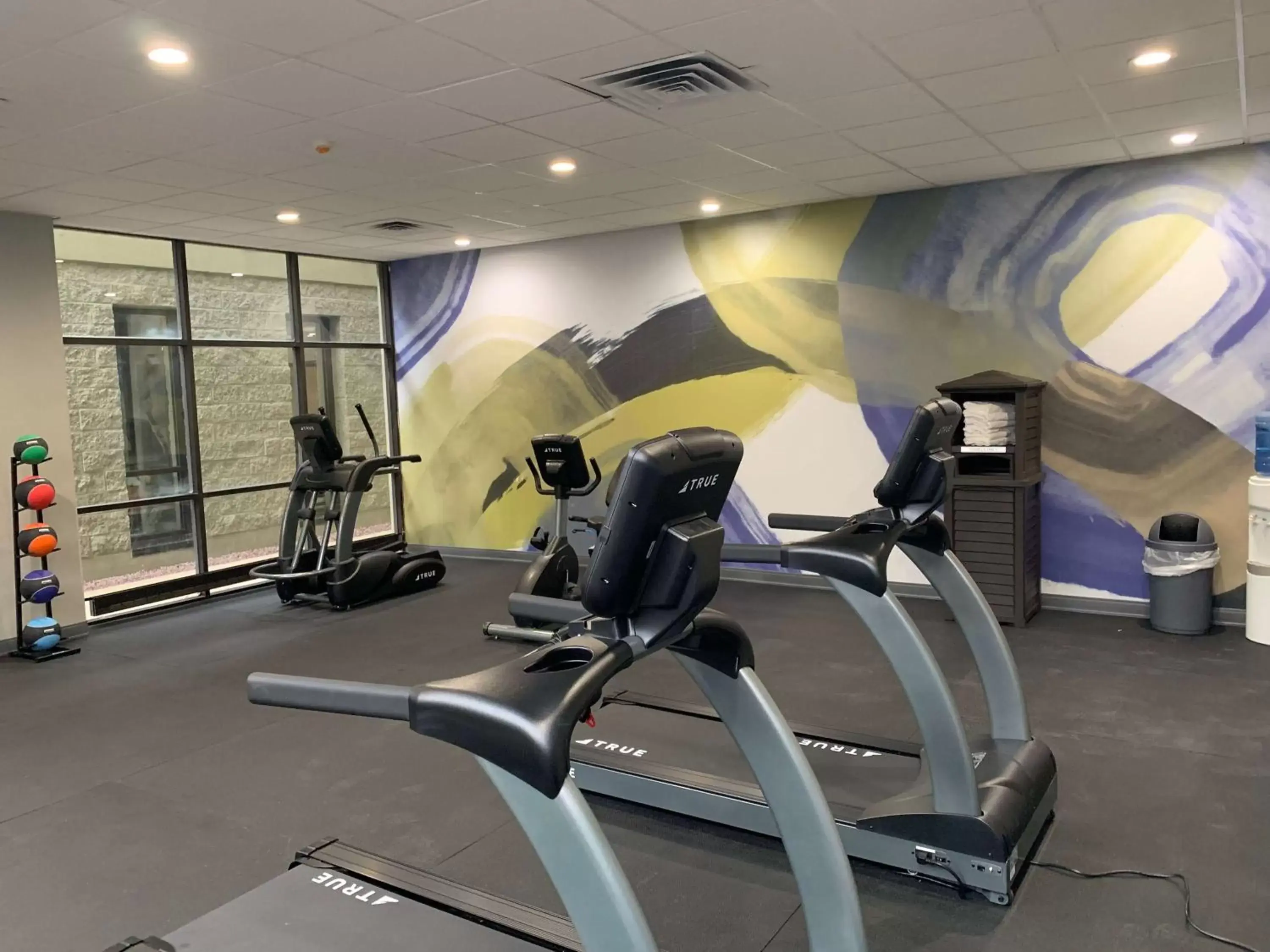 Fitness centre/facilities, Fitness Center/Facilities in Best Western Plus Clarks Summit Scranton Hotel