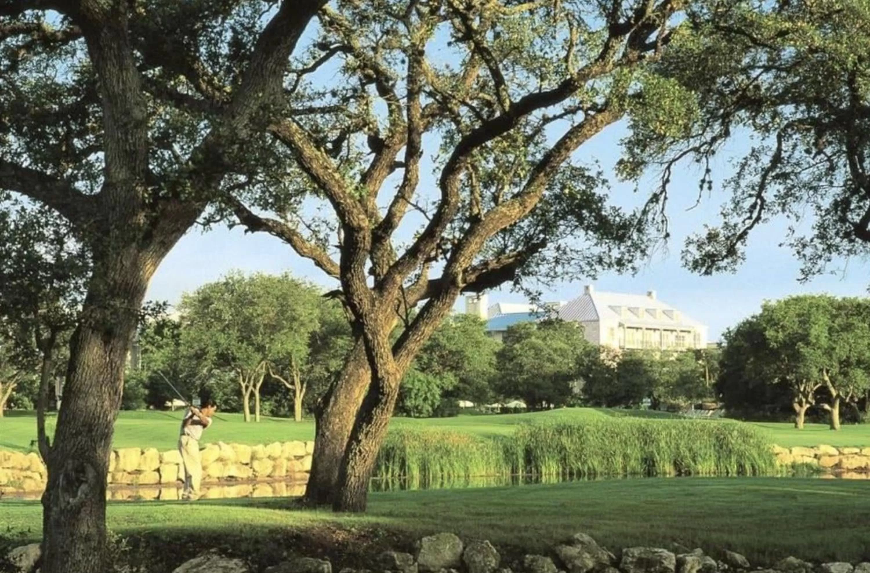 Other in SpringHill Suites by Marriott San Antonio SeaWorld®/Lackland