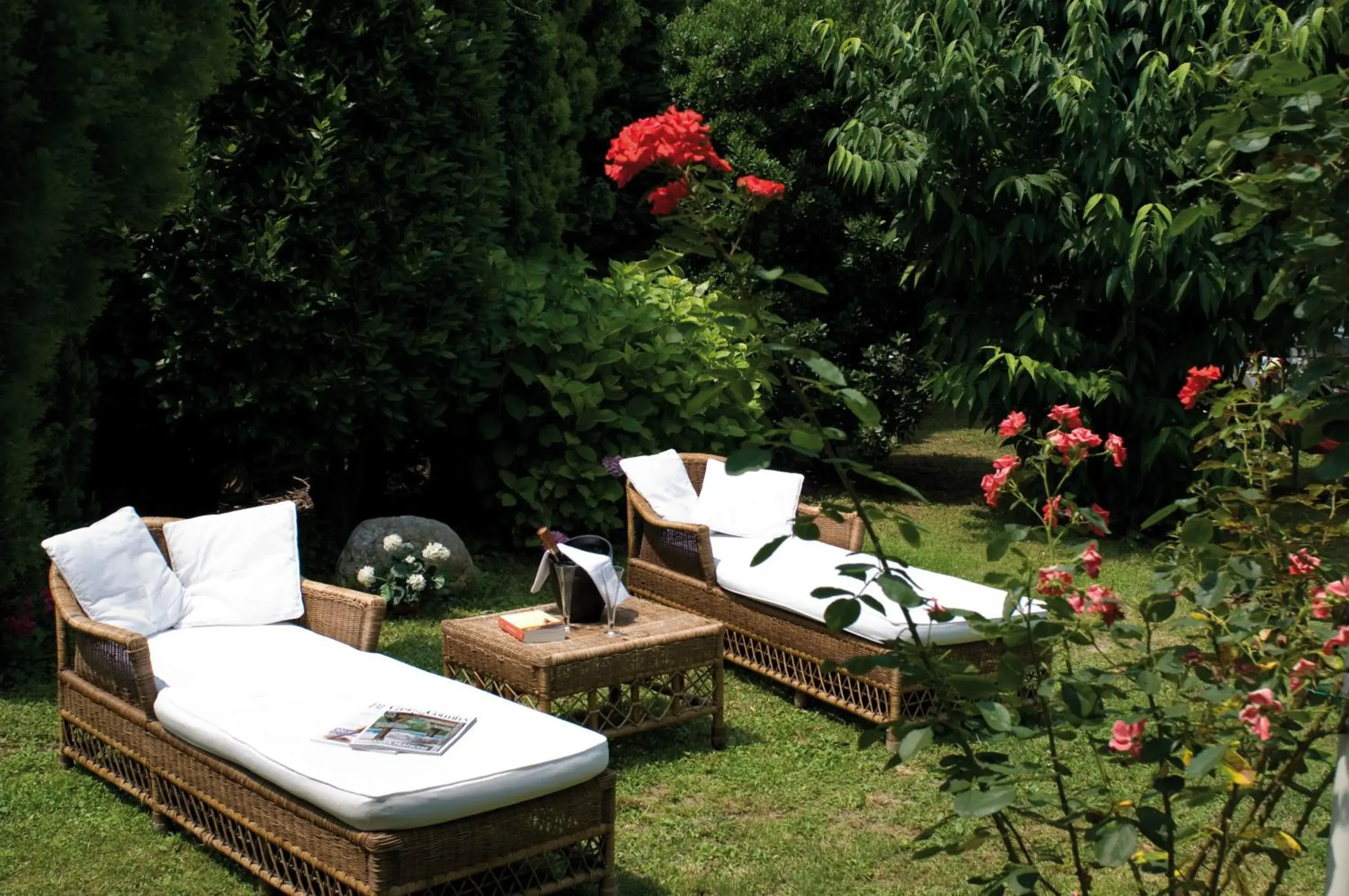 Garden in Hotel Terme Principe