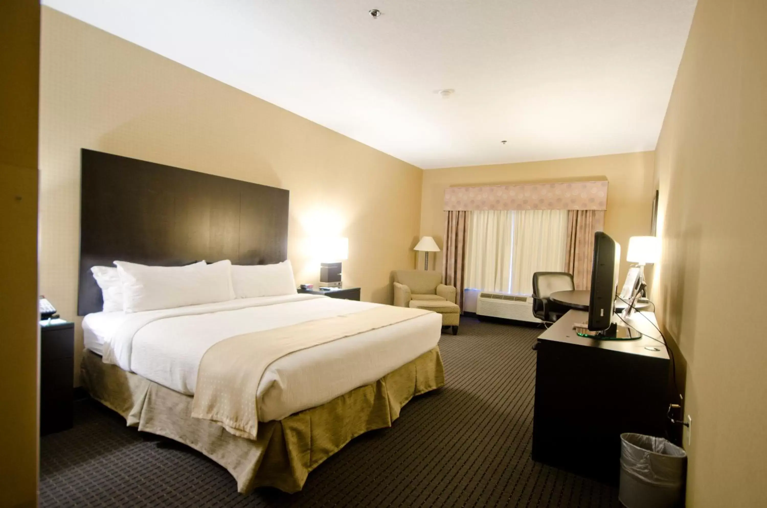 Photo of the whole room, Bed in Holiday Inn St. Paul Northeast - Lake Elmo, an IHG Hotel