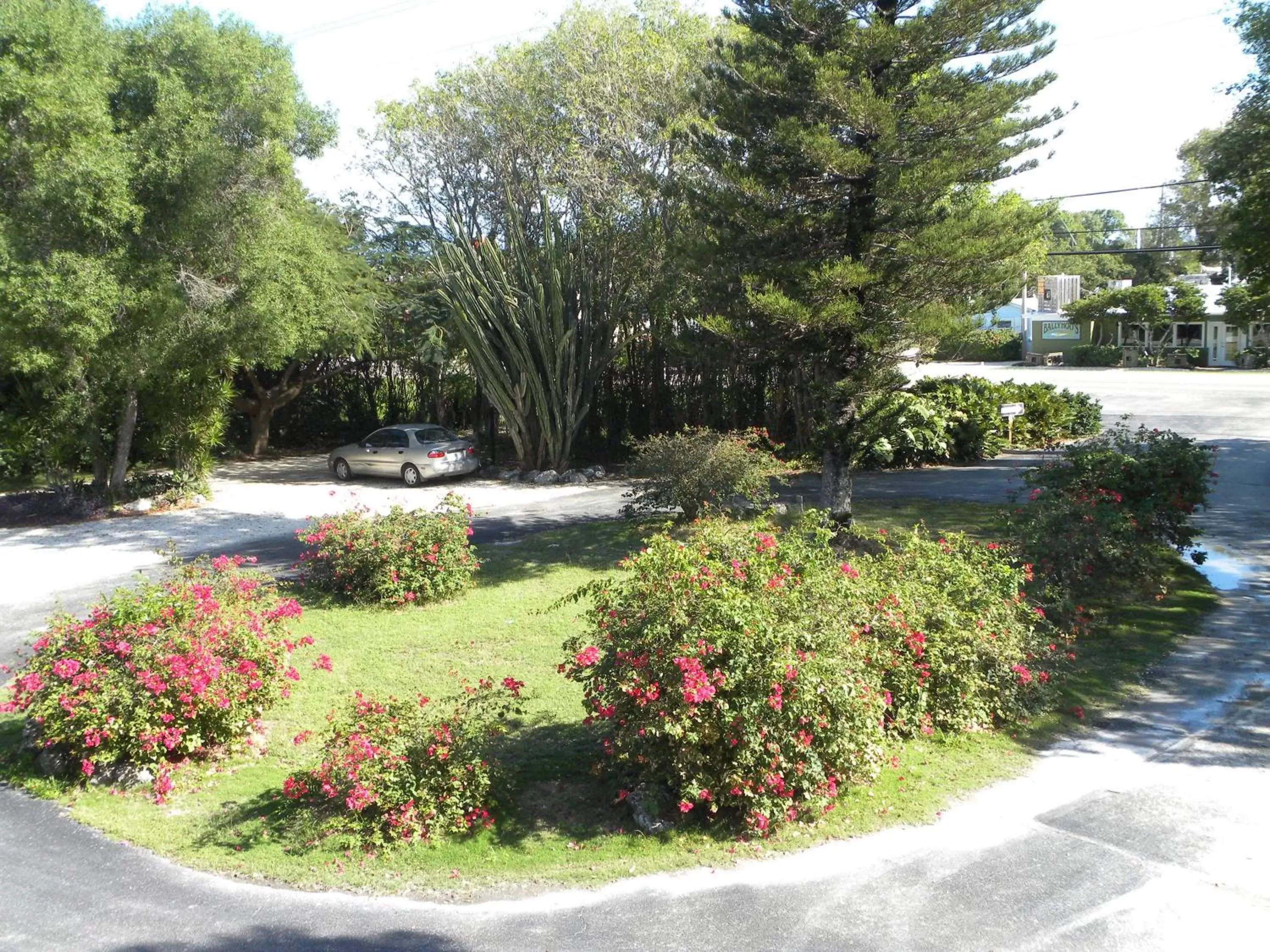 City view, Garden in Rock Reef Resort