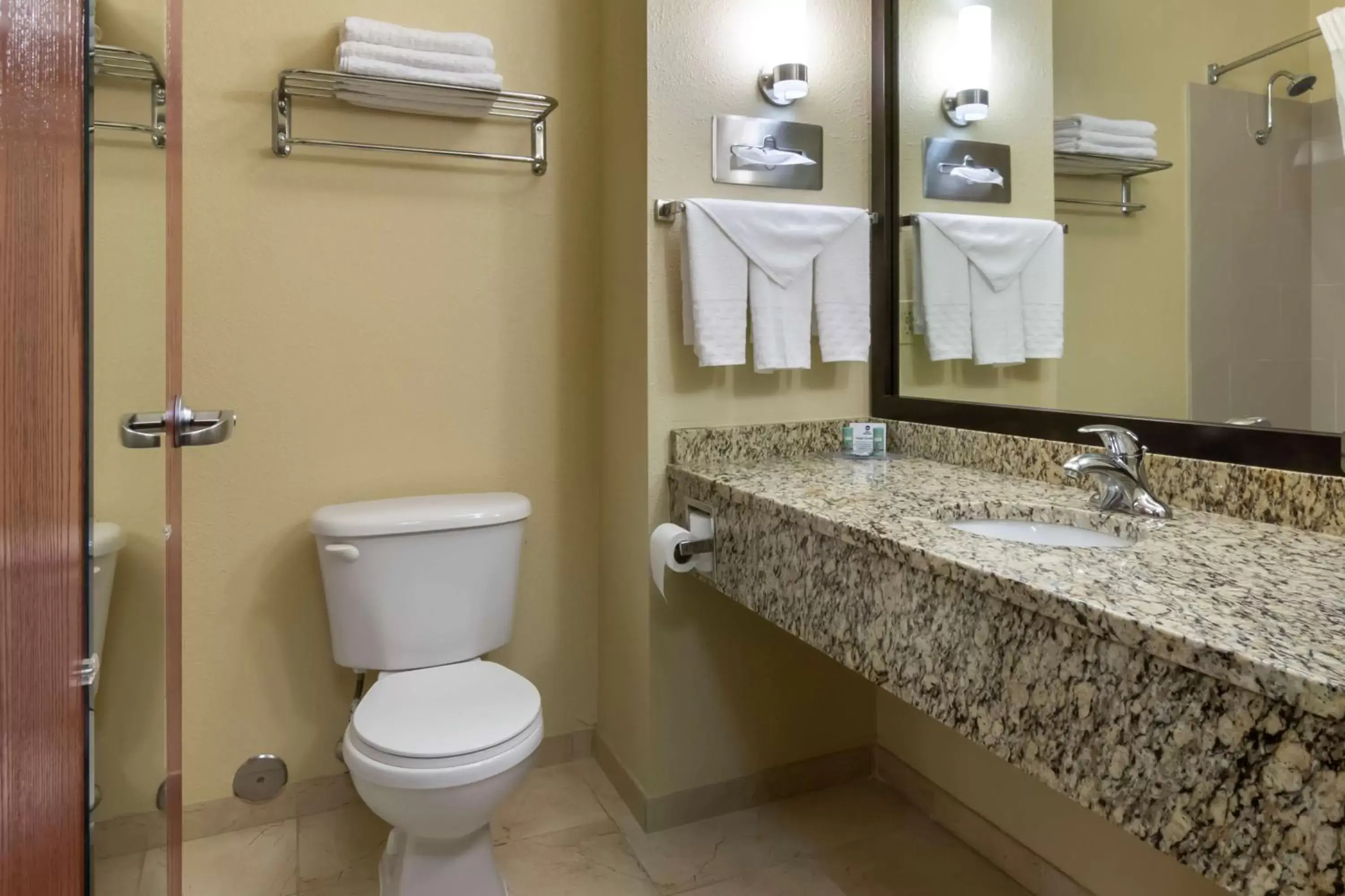 Bathroom in Best Western Governors Inn and Suites