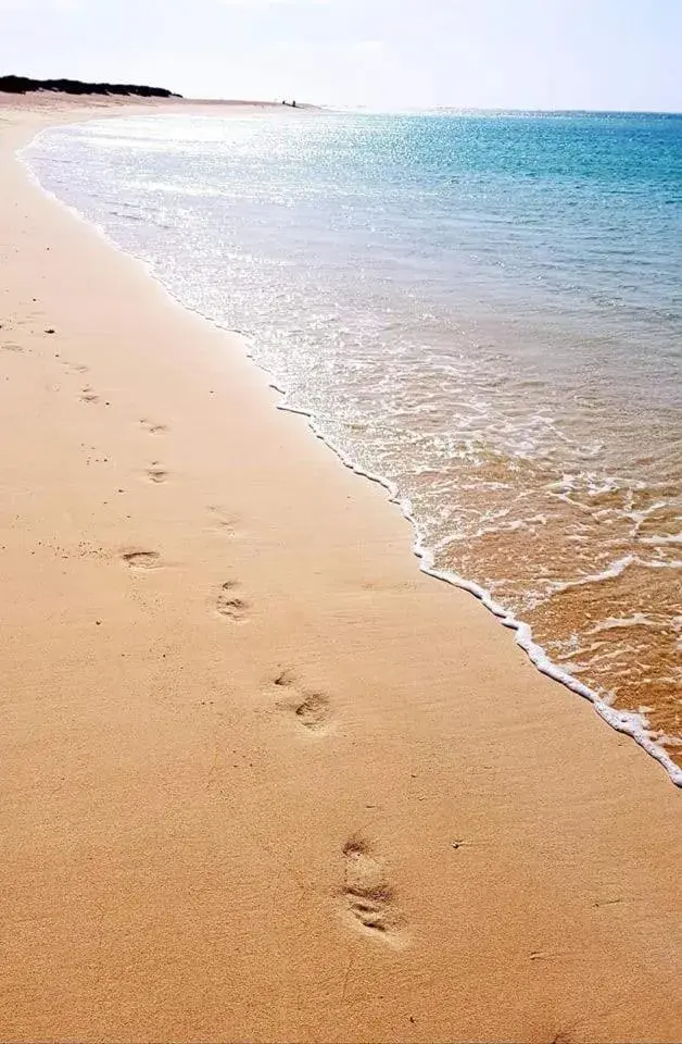 Beach in Ningaloo Lodge Exmouth