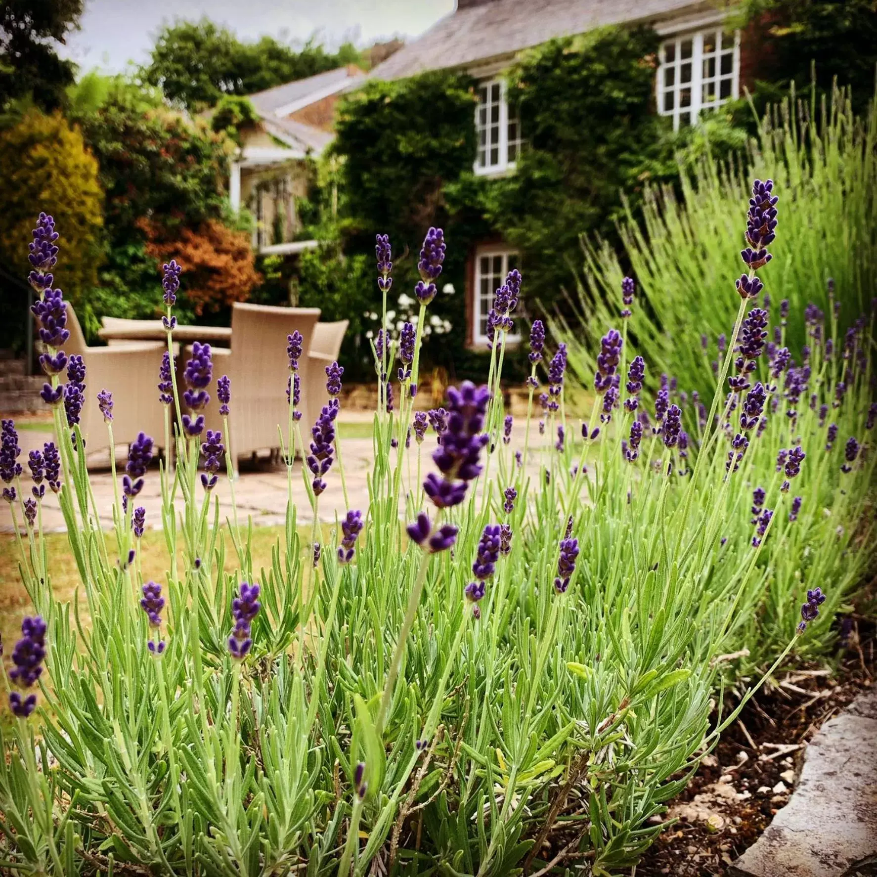 Patio in Boscundle Manor