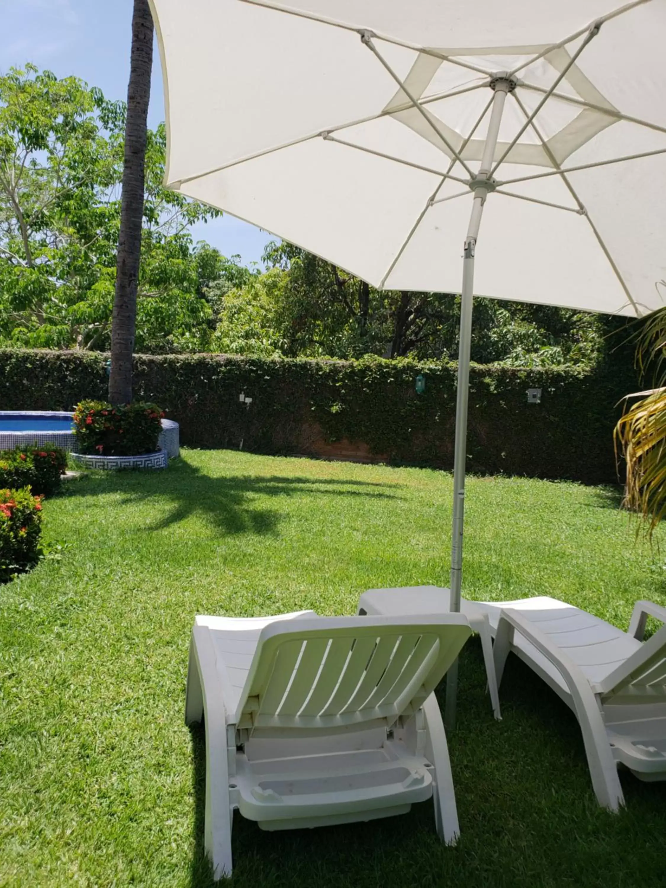 Double Room with Terrace in Delfin B&B Double Room with Terrace in Delfin B&B