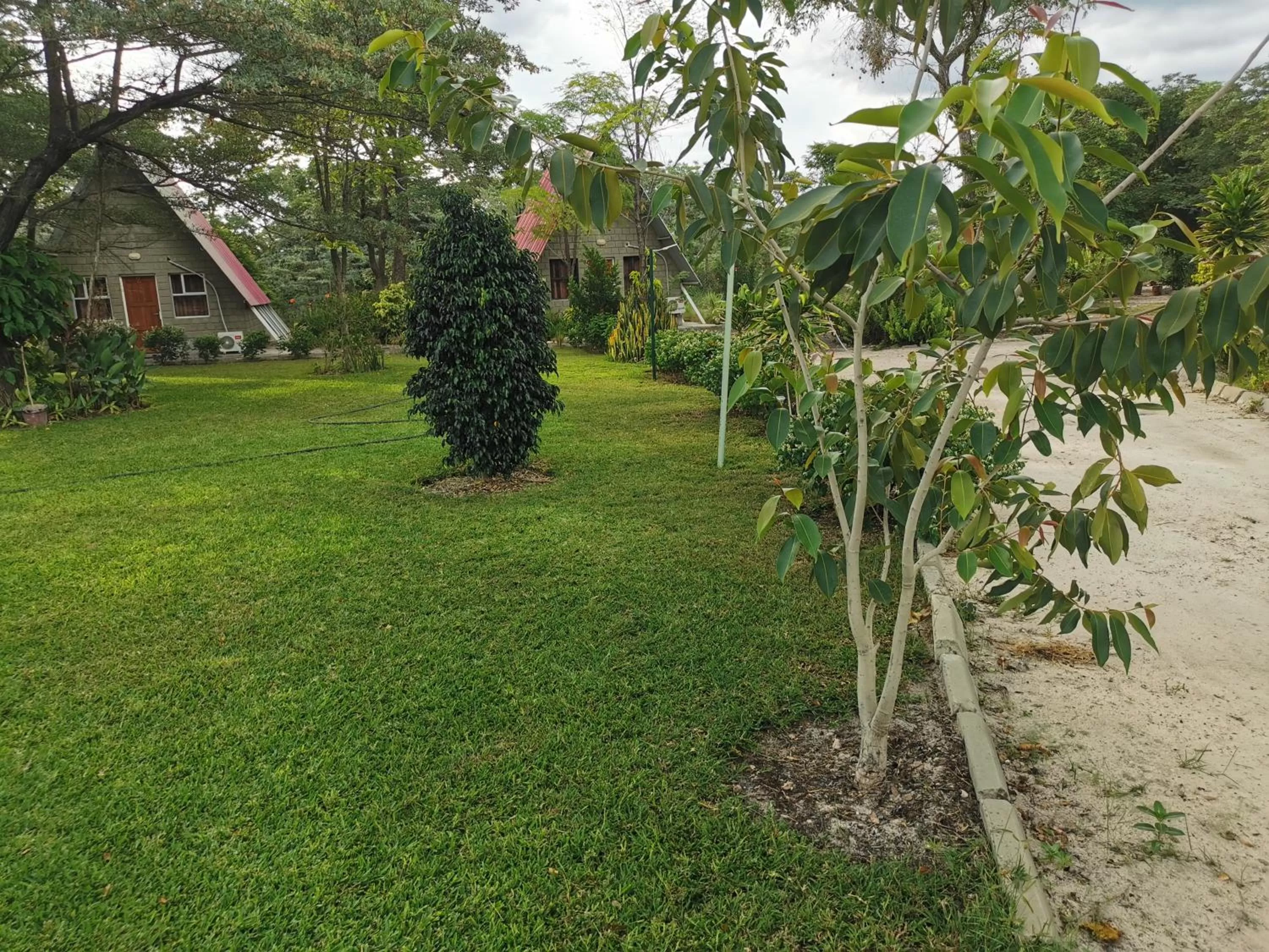 Garden in Happy Forest B&B