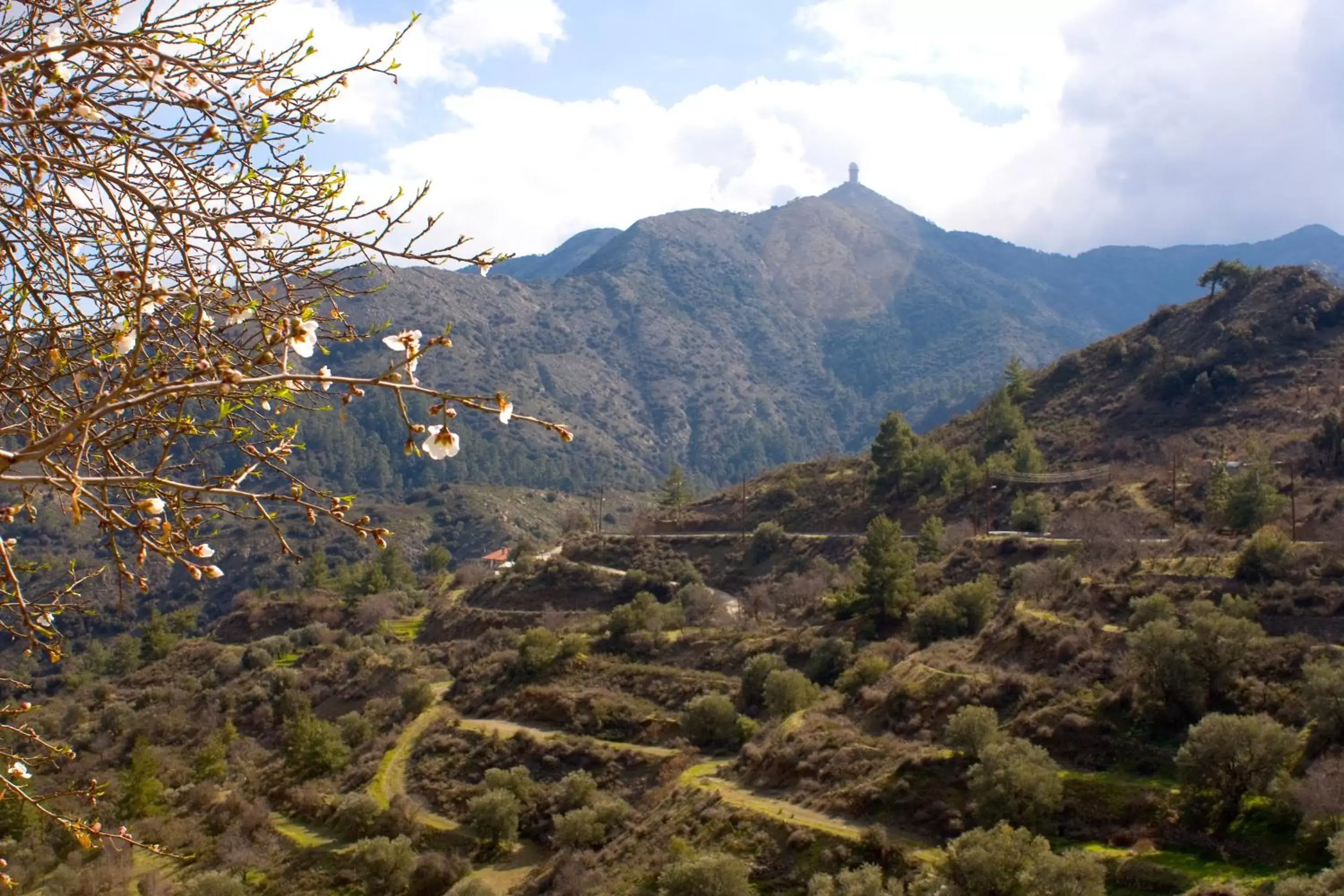 Natural Landscape in Aperanti Agrotourism