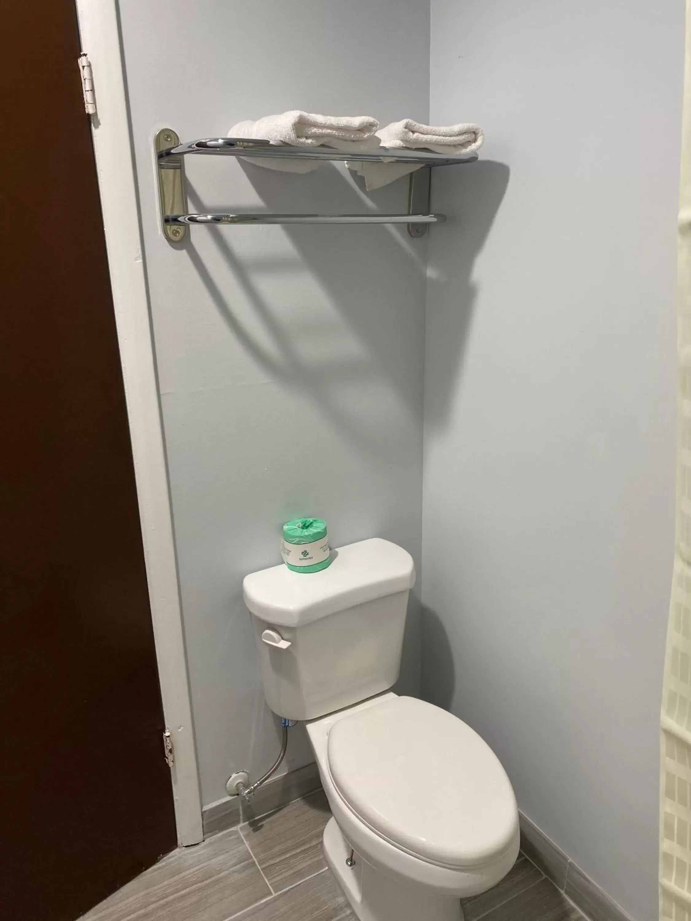 Bathroom in Budget Inn - Roxboro