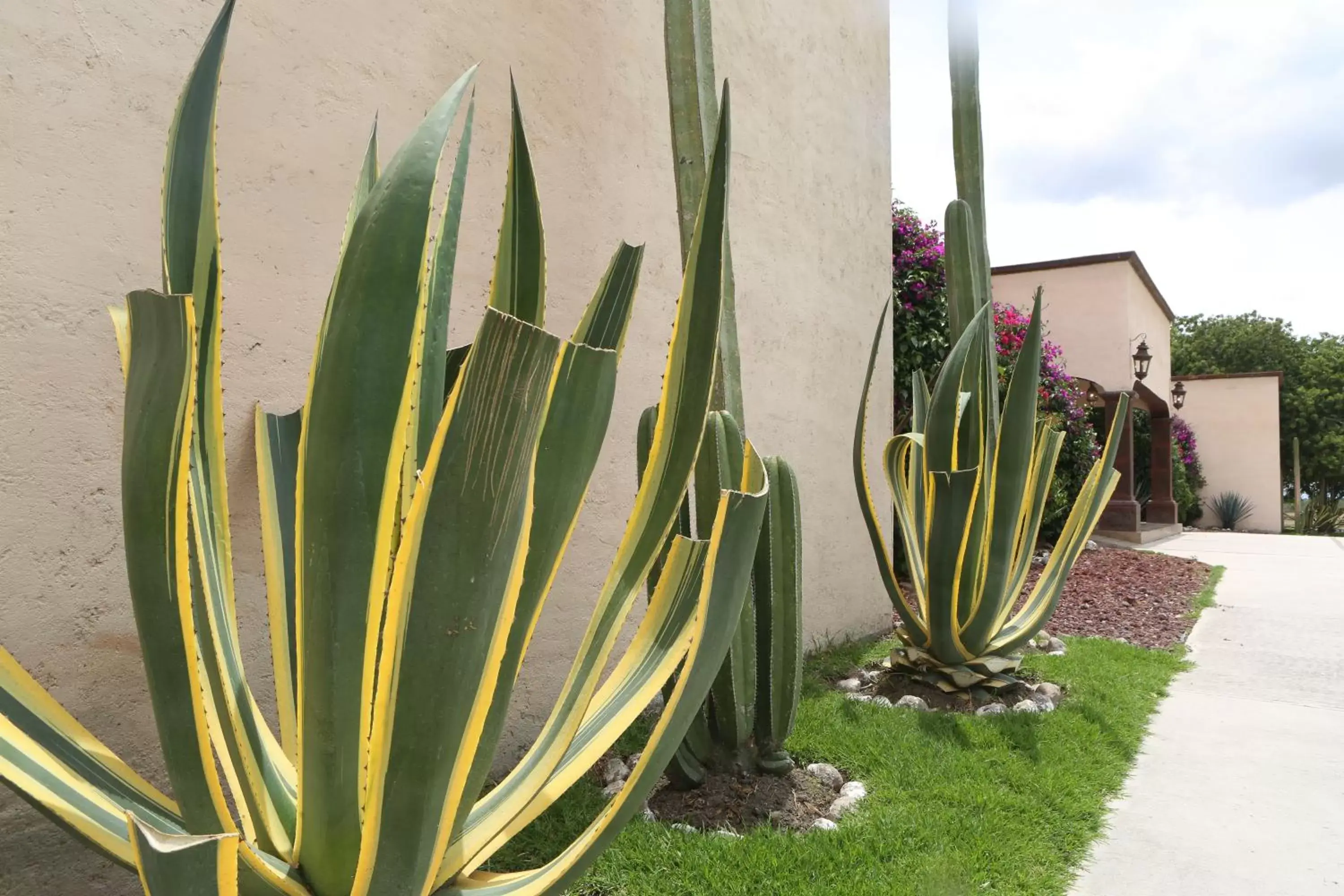 Natural landscape, Property Building in Real de Corralejo