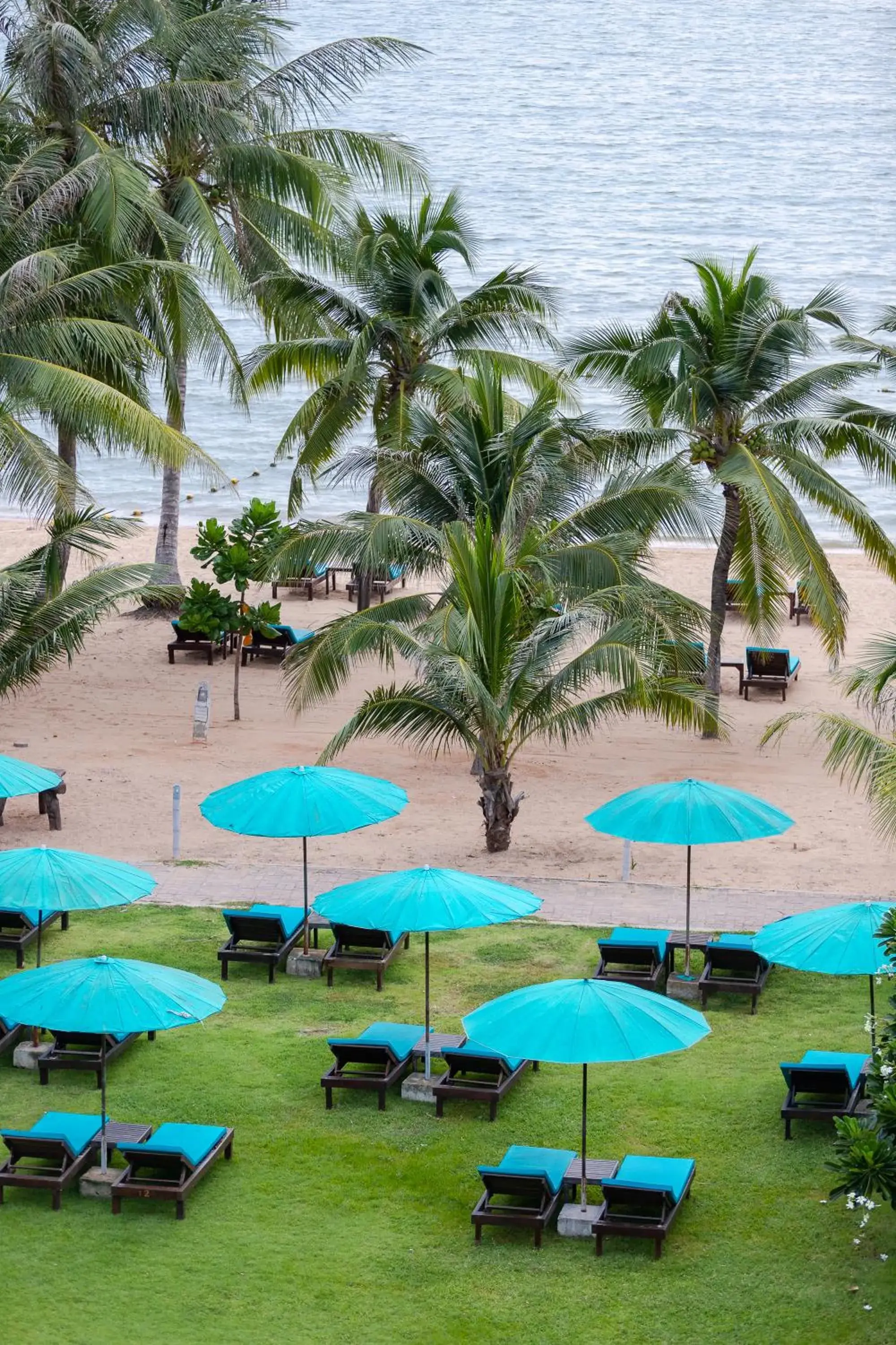 Garden, Beach in Pinnacle Grand Jomtien Resort and Beach Club - SHA Extra Plus