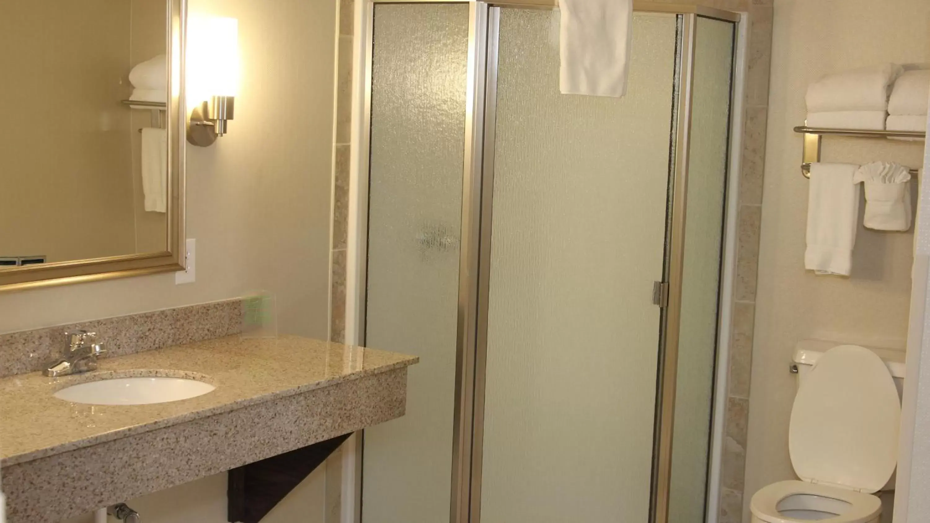 Bathroom in Holiday Inn Express Hotel & Suites Indianapolis W - Airport Area, an IHG Hotel