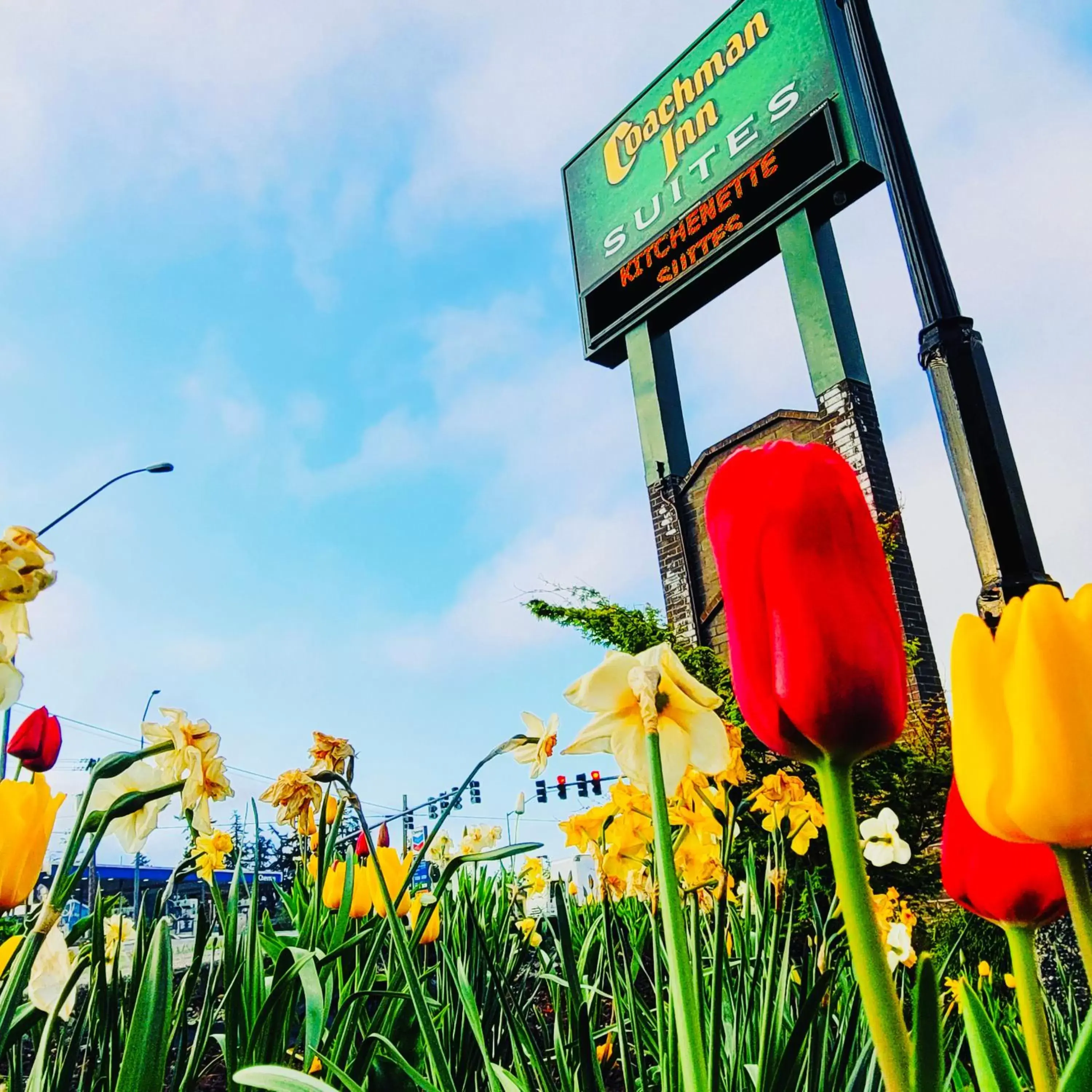 Spring in Coachman Inn Oak Harbor