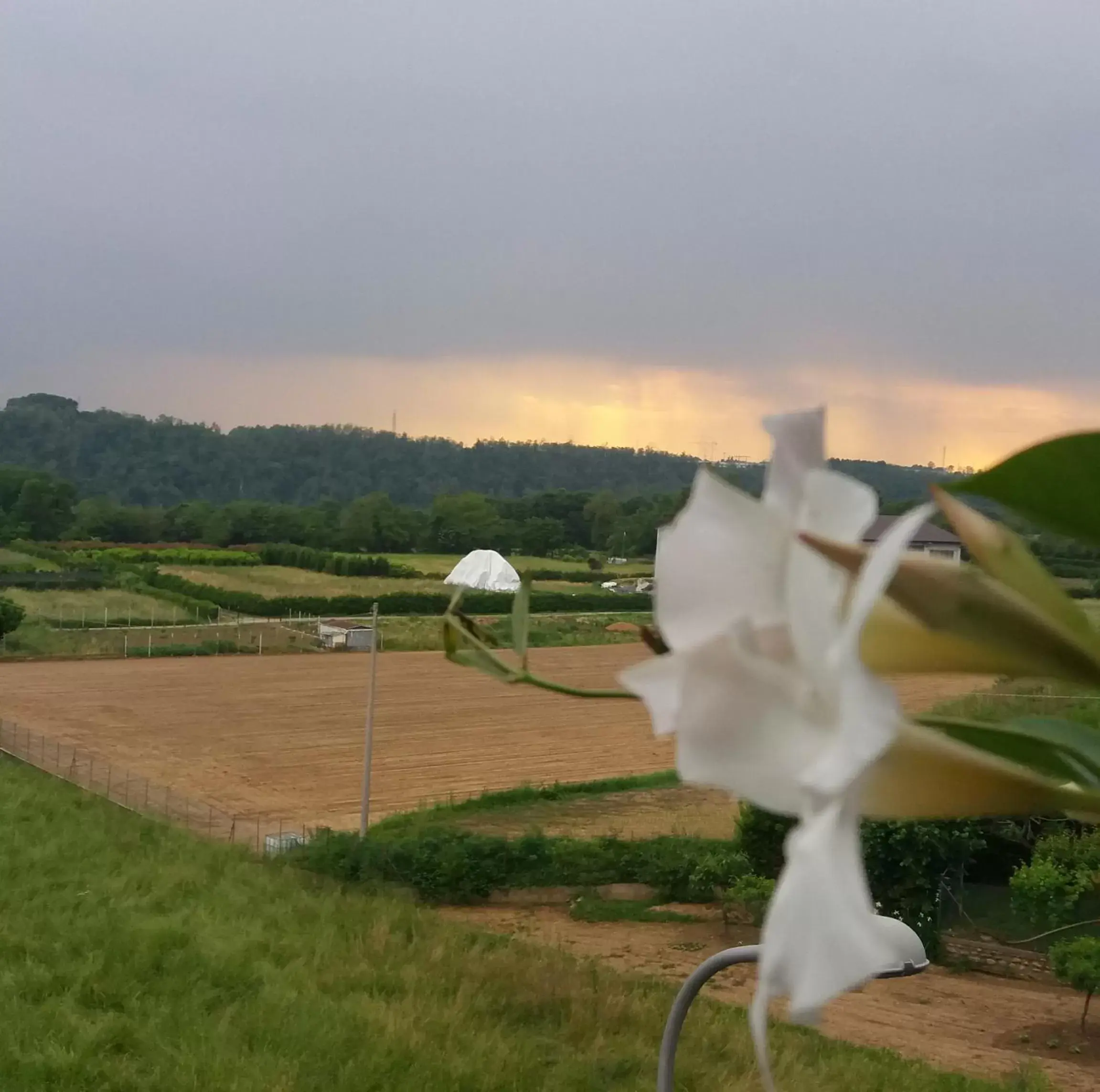 Natural landscape in Le vigne sull’Adda