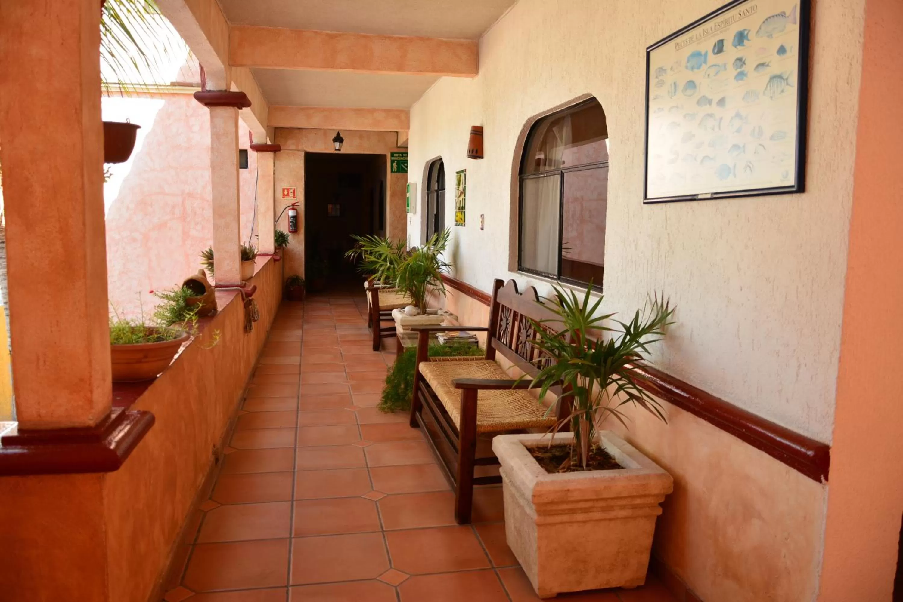 Balcony/Terrace in Hotel Posada Luna Sol