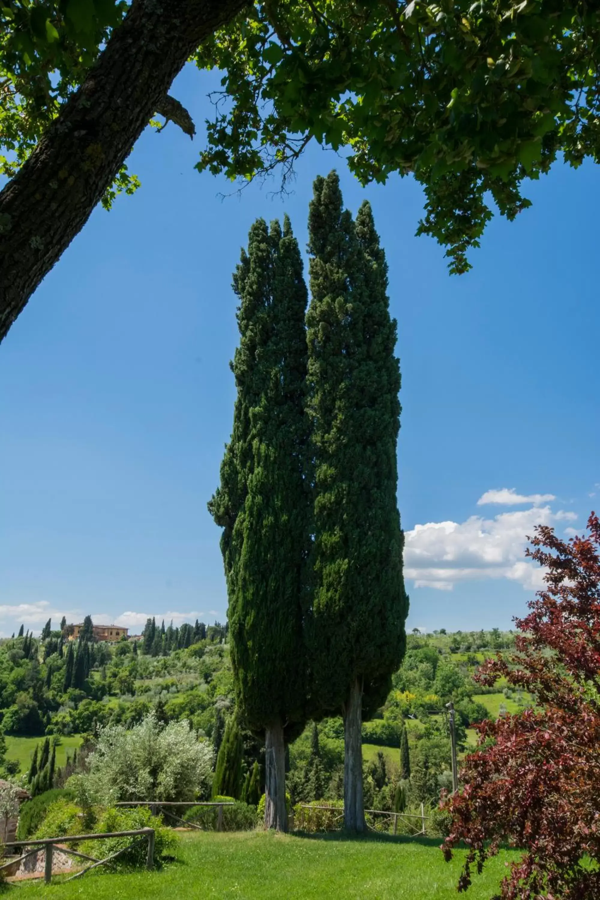 Garden in Borgo Bottaia