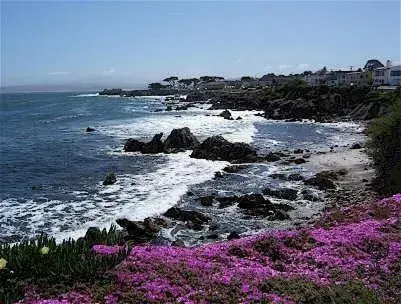 Neighbourhood in Monterey Peninsula Inn