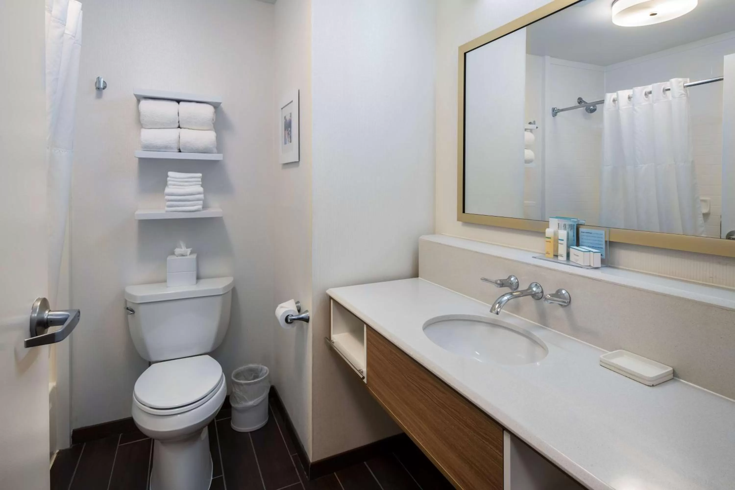 Bathroom in Hampton Inn & Suites Lincolnshire