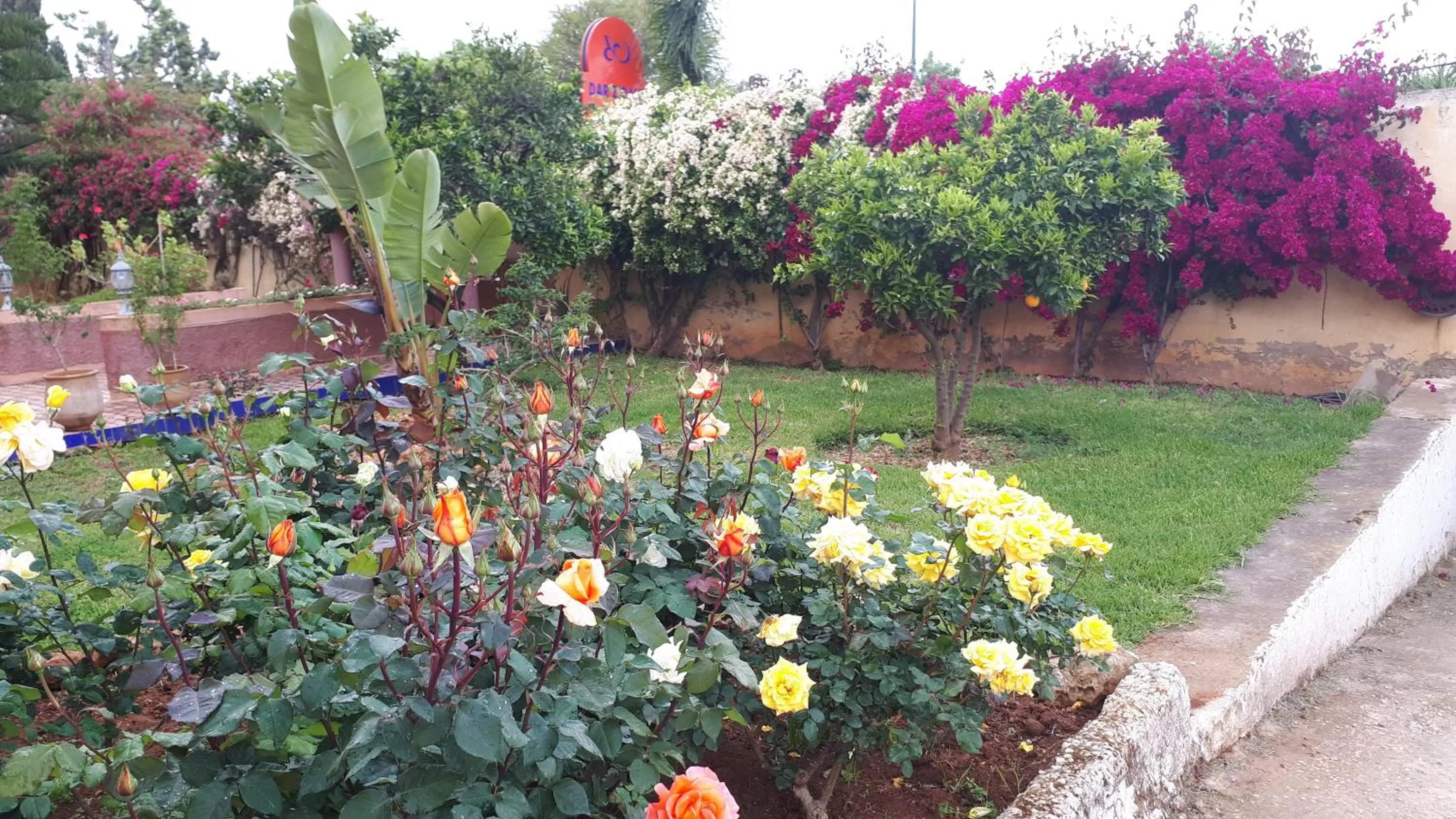 Garden in Riad Dar Zidane