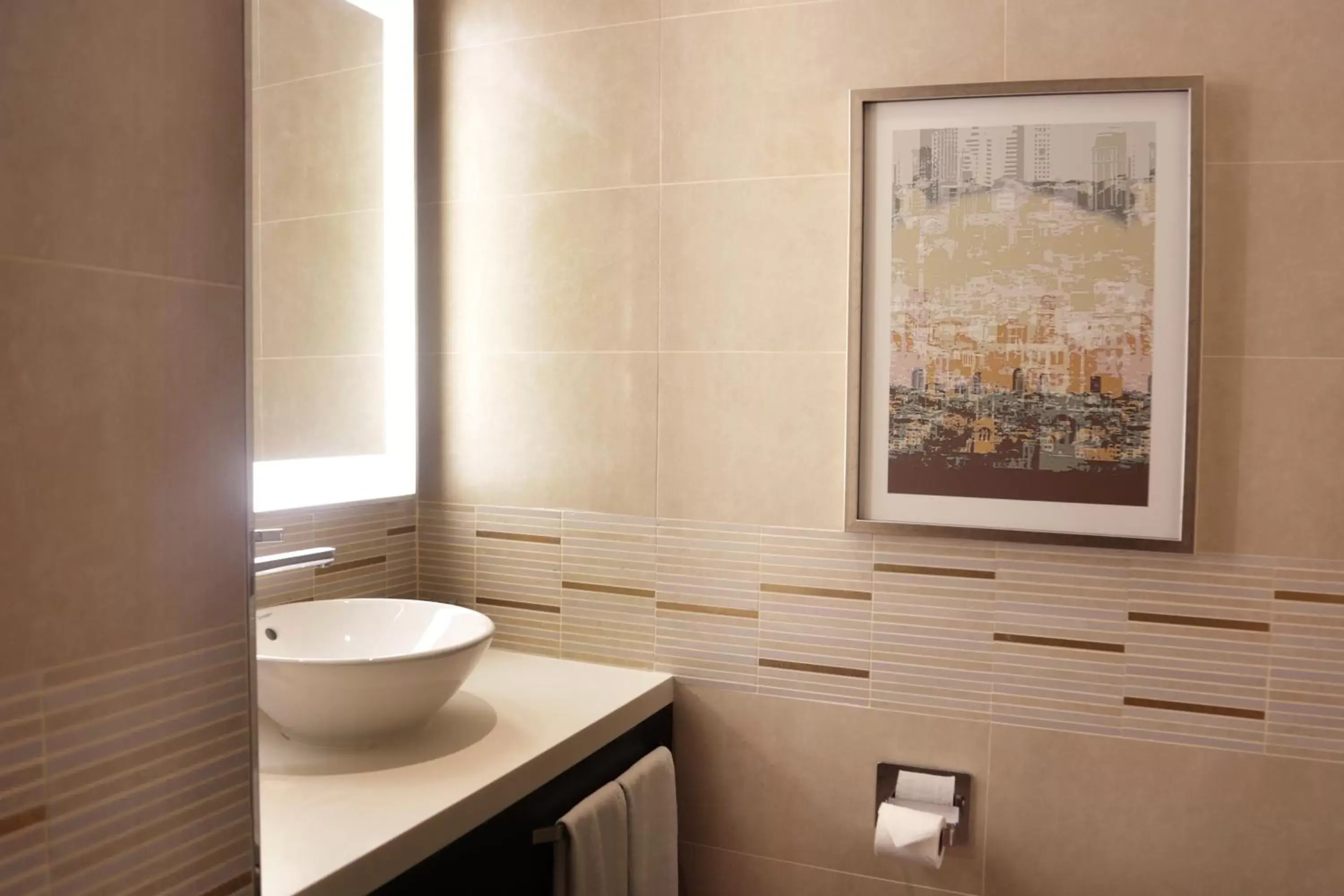 Decorative detail, Bathroom in Doubletree by Hilton Istanbul Umraniye