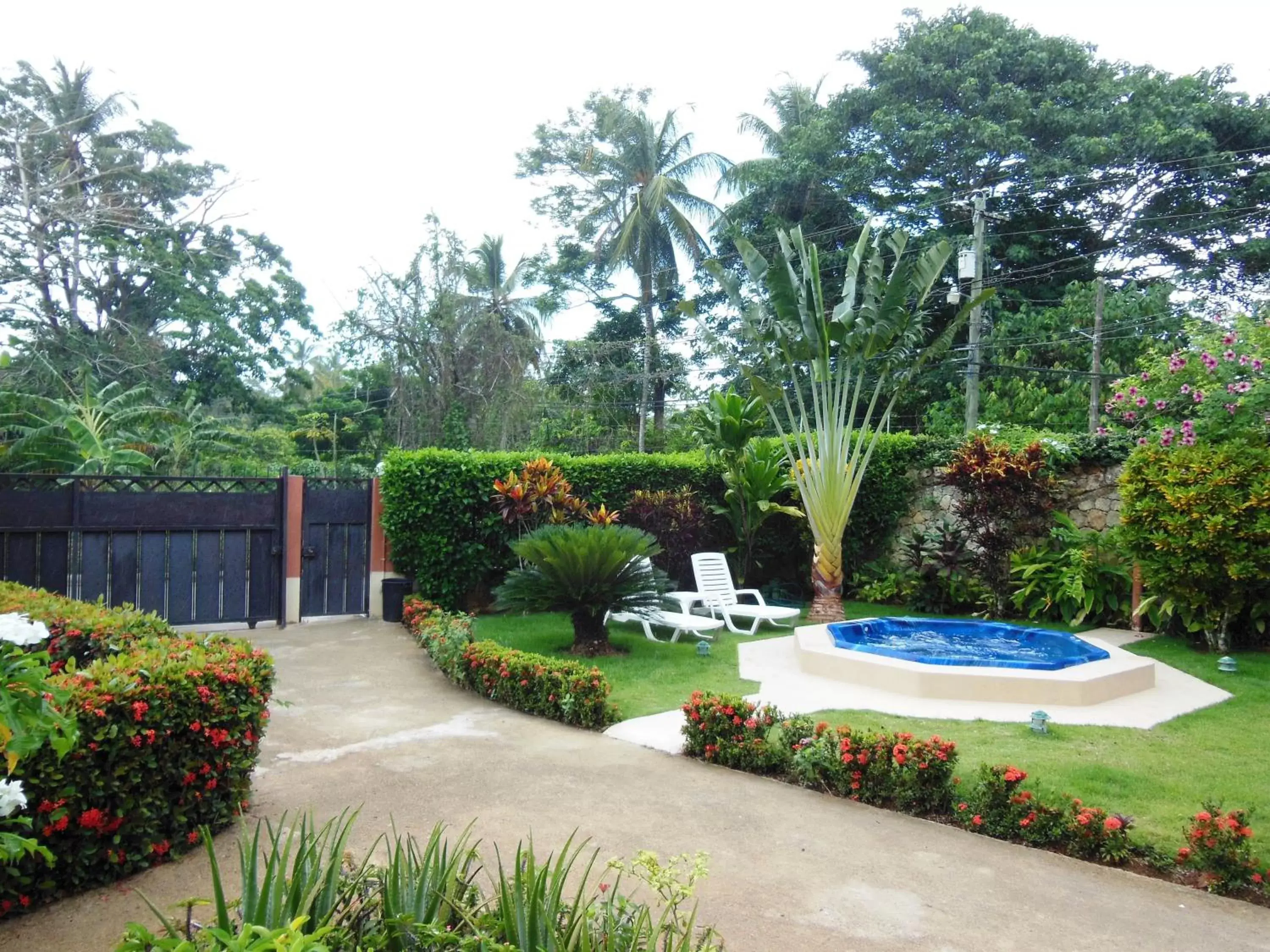 Garden, Swimming Pool in Casa Lily & Coco