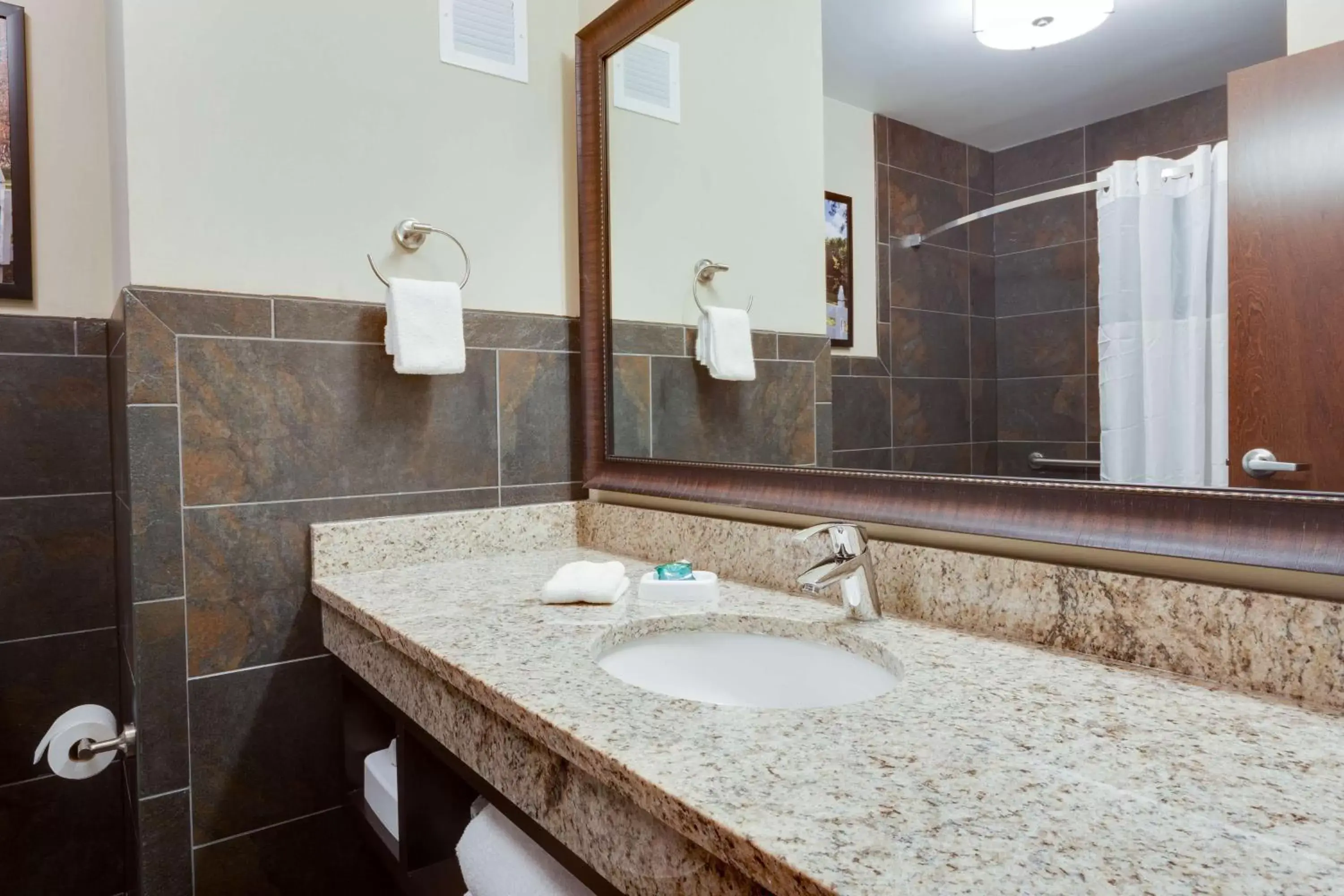 Bathroom in Drury Inn & Suites Dallas Frisco