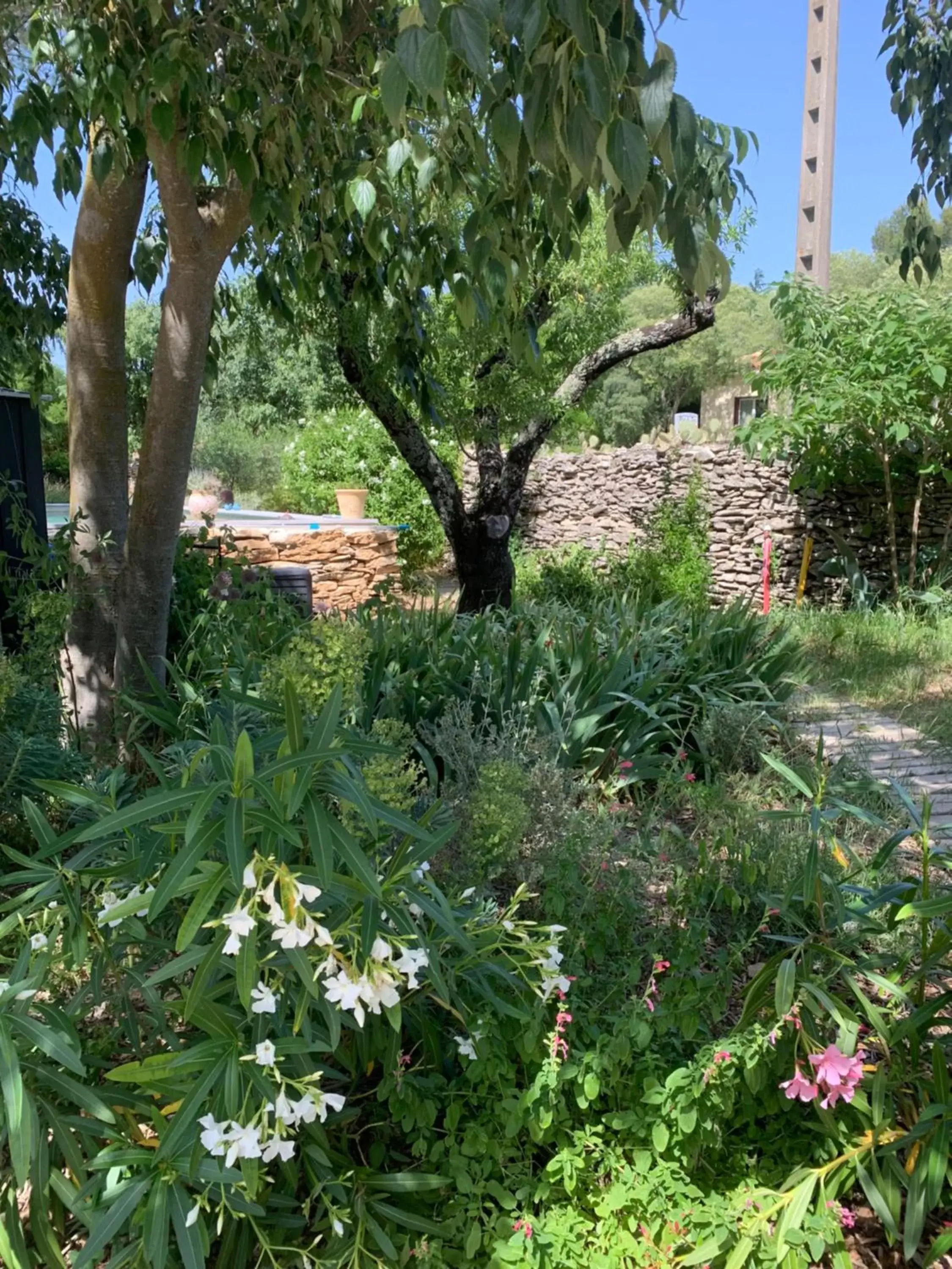 Garden in Chambres d'Hôtes Lovely Planette