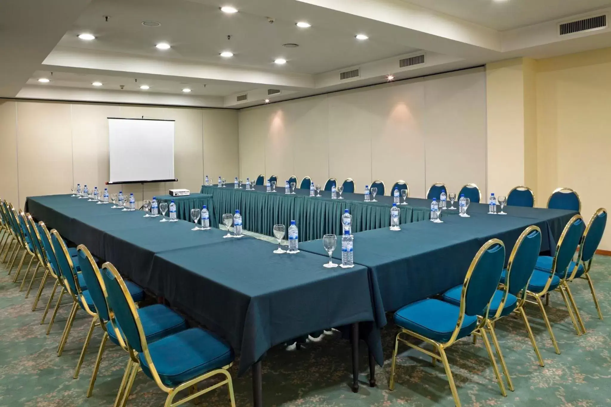 Meeting/conference room in Holiday Inn Skopje, an IHG Hotel