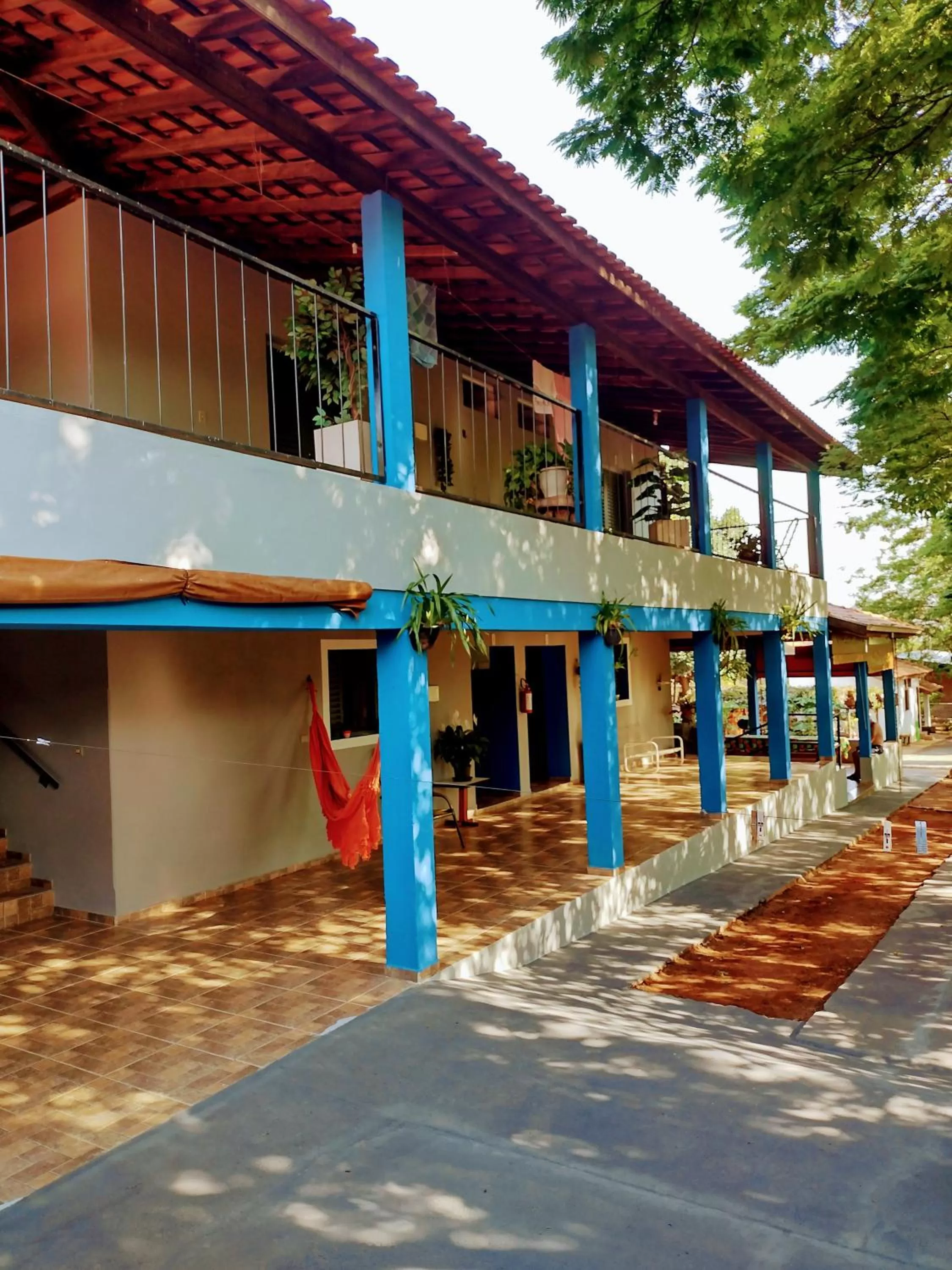 Suits - Canto do sabia