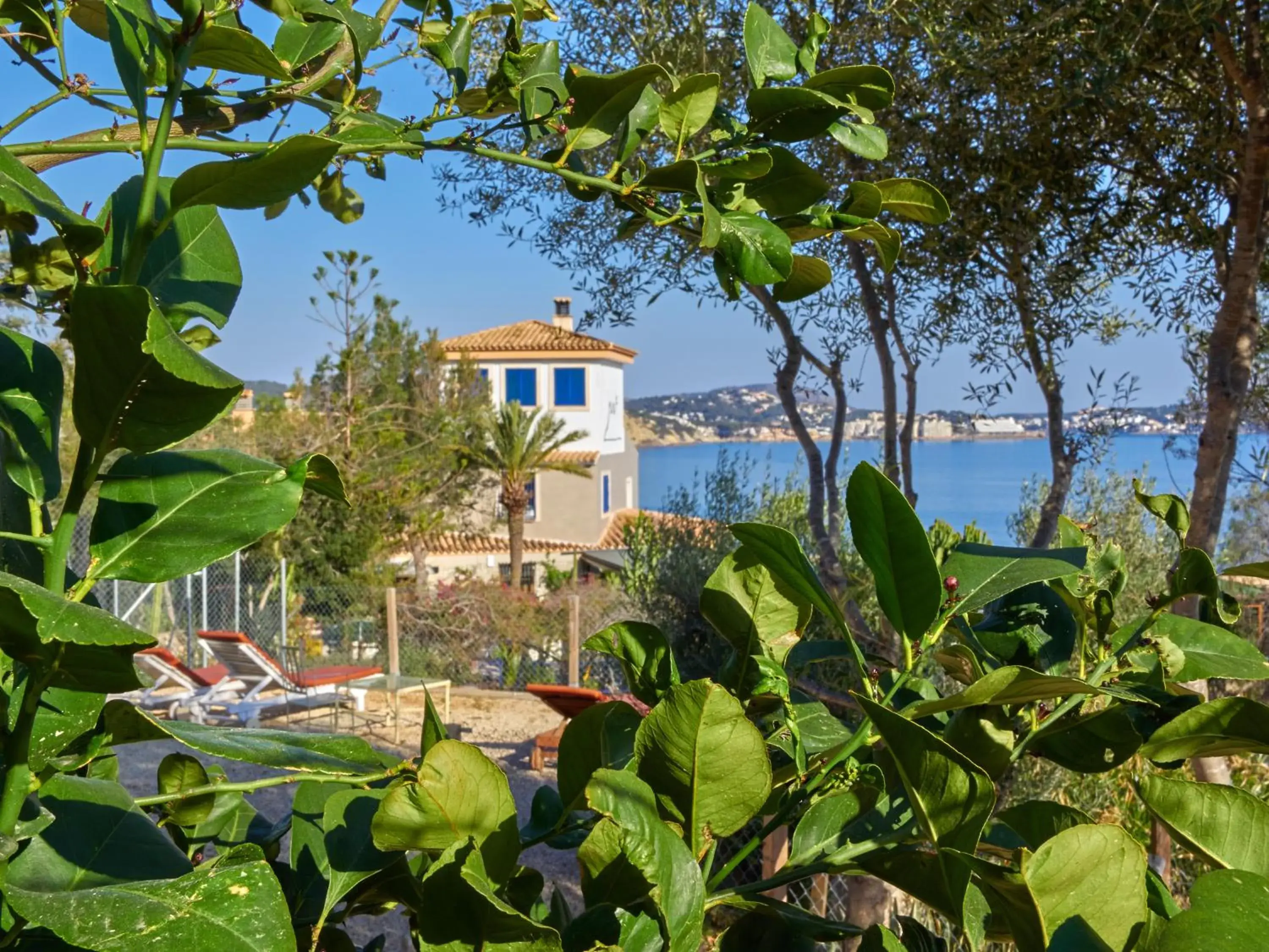 Garden, Property Building in Hotel Petit Cala Fornells