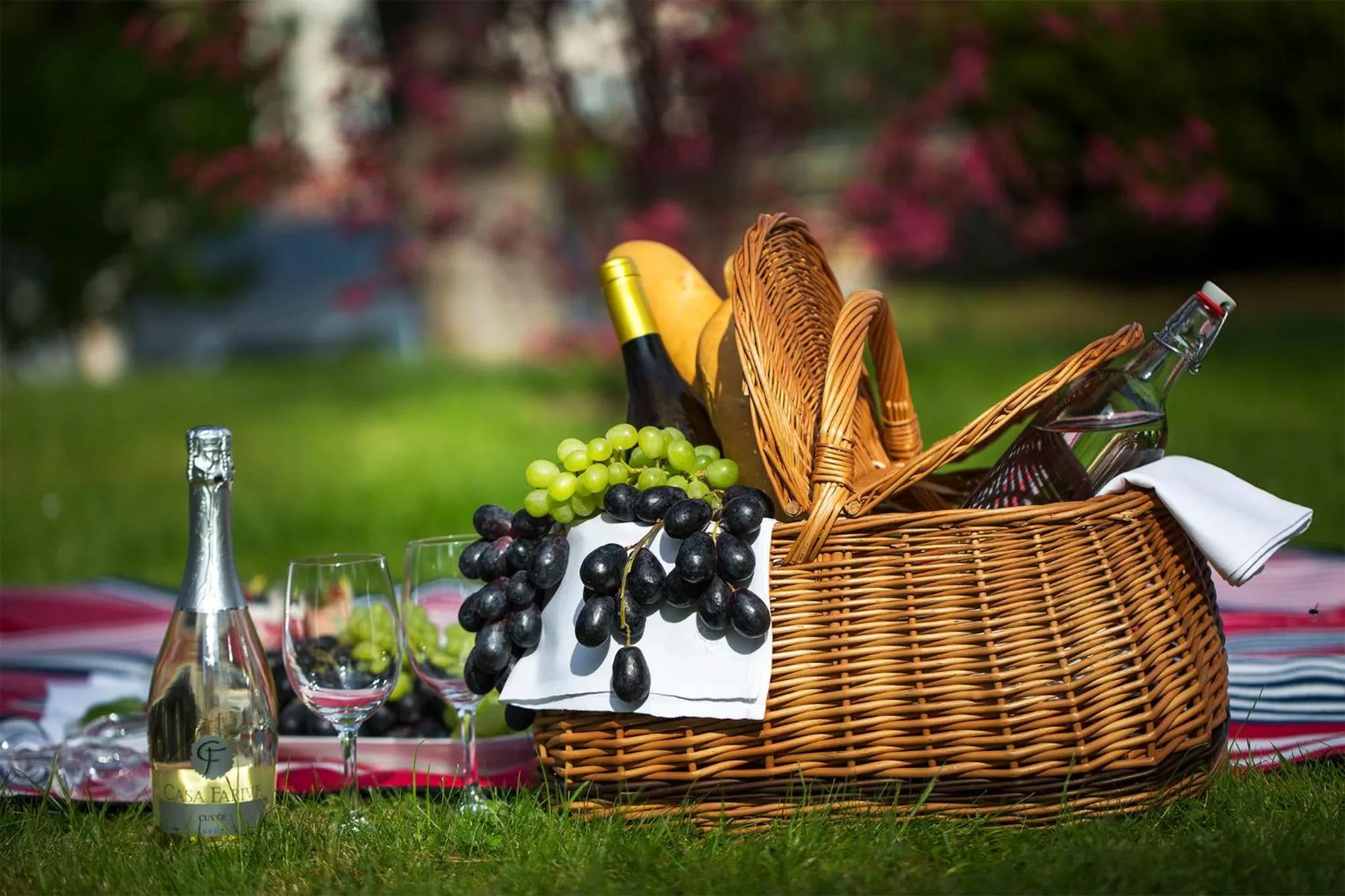 Entertainment in Bristol Vila Tereza